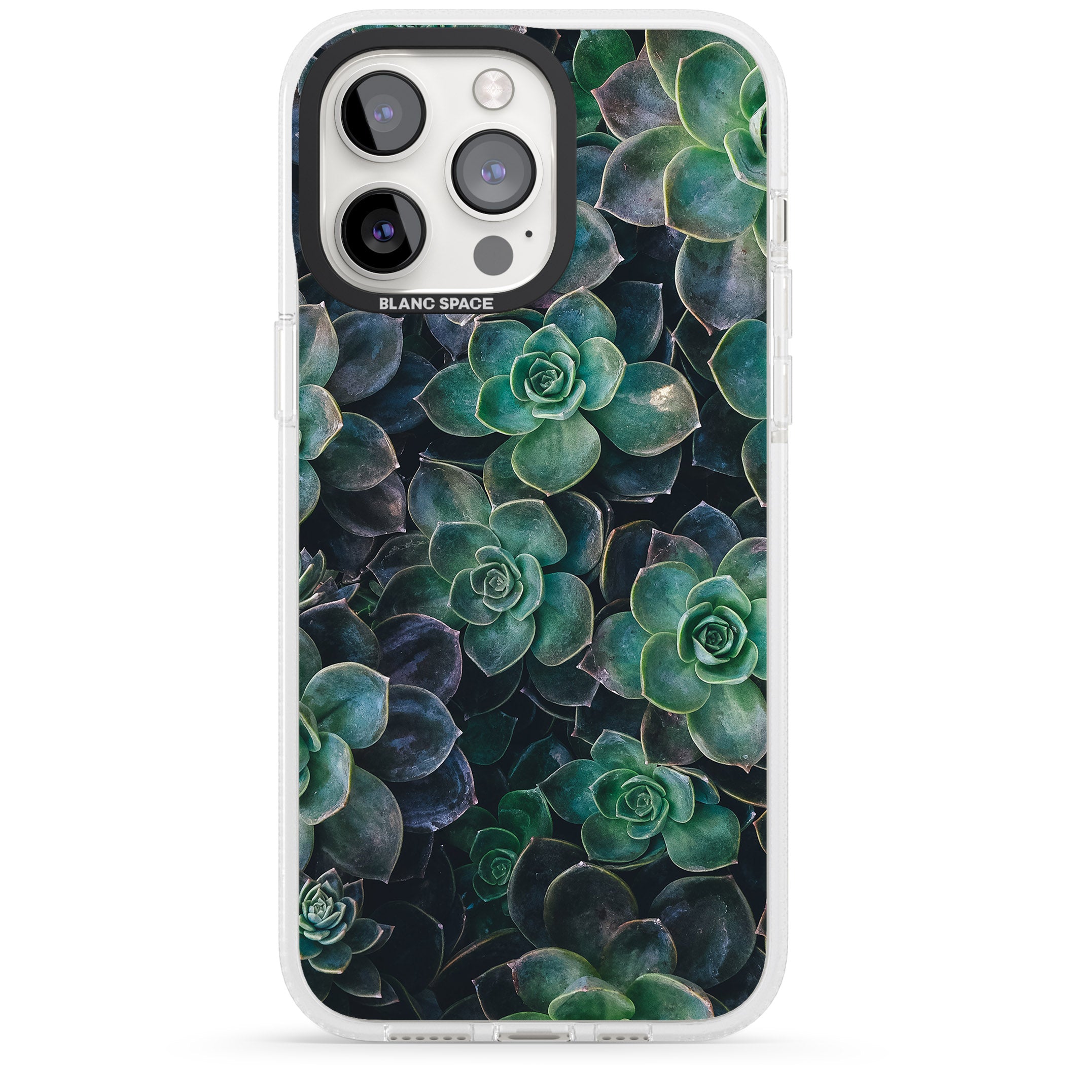 Succulents - Real Botanical Photographs iPhone 15 Pro Max / 15 Pro / 14 Pro Max / 14 Pro / 13 Pro Clear Case Impact Air - Blanc Space