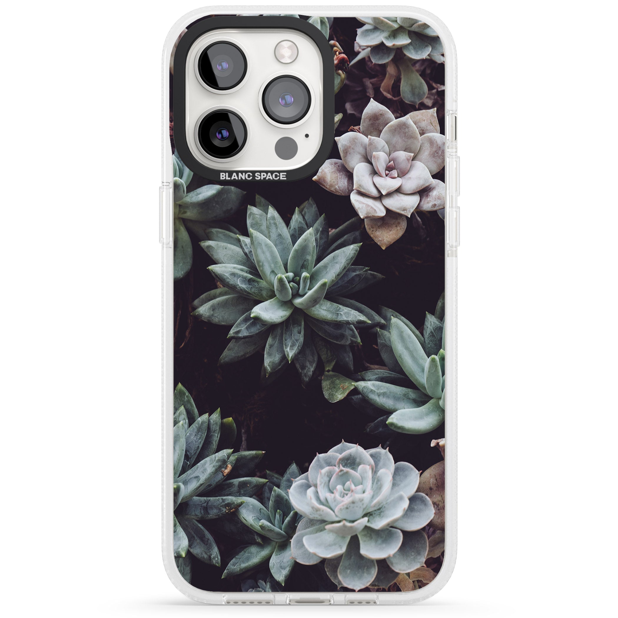 Mixed Succulents - Real Botanical Photographs iPhone 15 Pro Max / 15 Pro / 14 Pro Max / 14 Pro / 13 Pro Clear Case Impact Air - Blanc Space