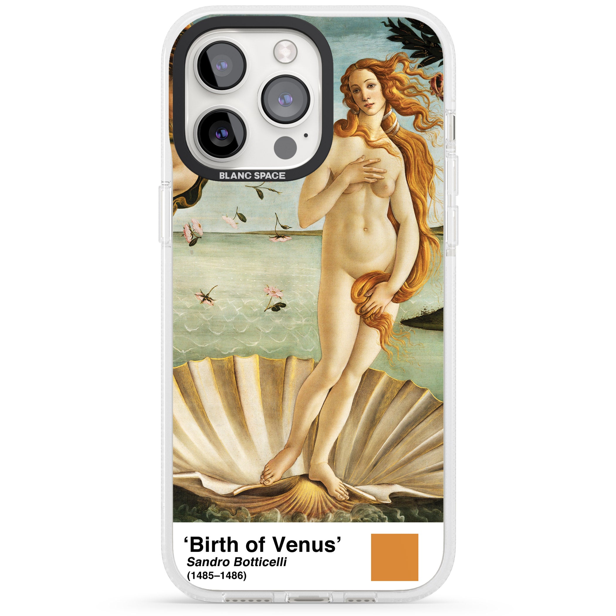 The Birth of Venus iPhone 15 Pro Max / 15 Pro / 14 Pro Max / 14 Pro / 13 Pro Clear Case Impact Air - Blanc Space