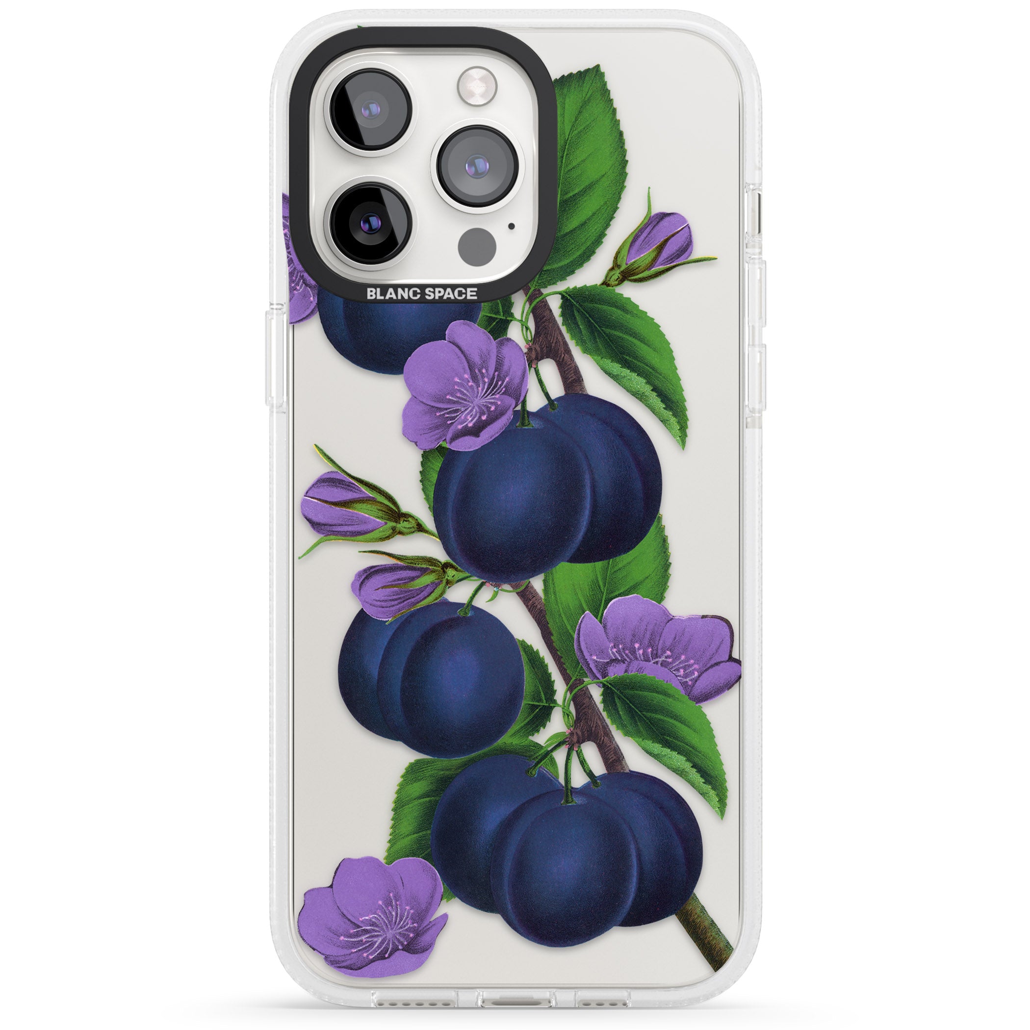 Vintage Painted Plums iPhone 15 Pro Max / 15 Pro / 14 Pro Max / 14 Pro / 13 Pro Clear Case Impact Air - Blanc Space