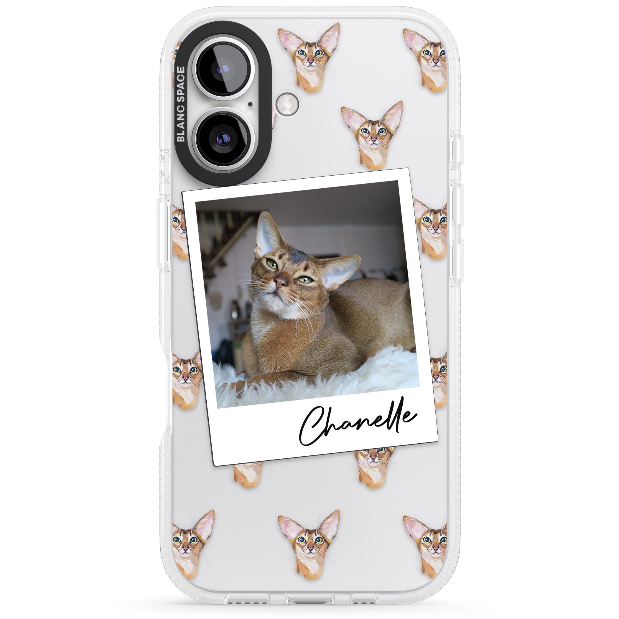 Personalised Abyssinian Cat Photo iPhone 16 / 16 Plus Clear Case Impact Air - Blanc Space