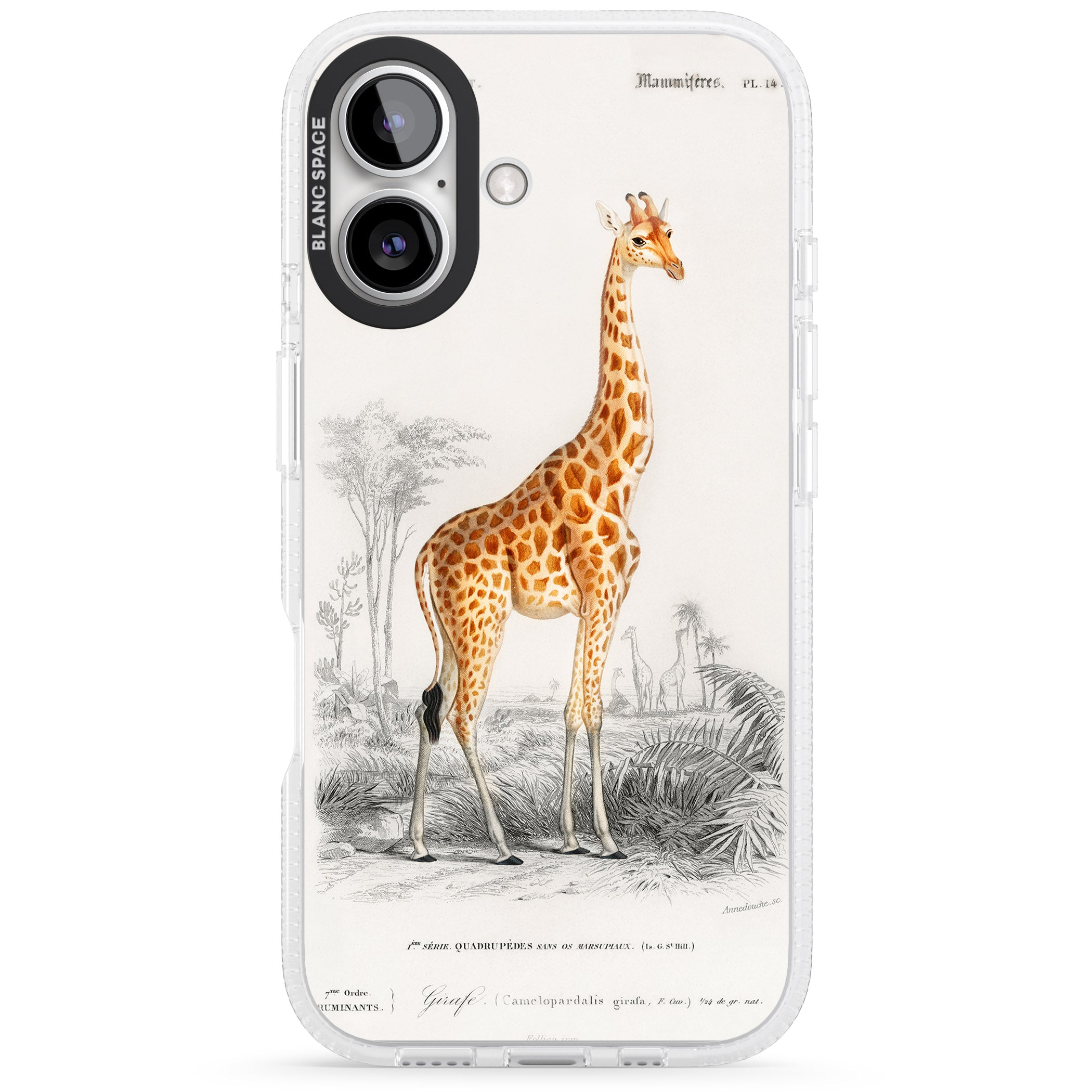 Vintage Giraffe Art iPhone 16 / 16 Plus Clear Case Impact Air - Blanc Space