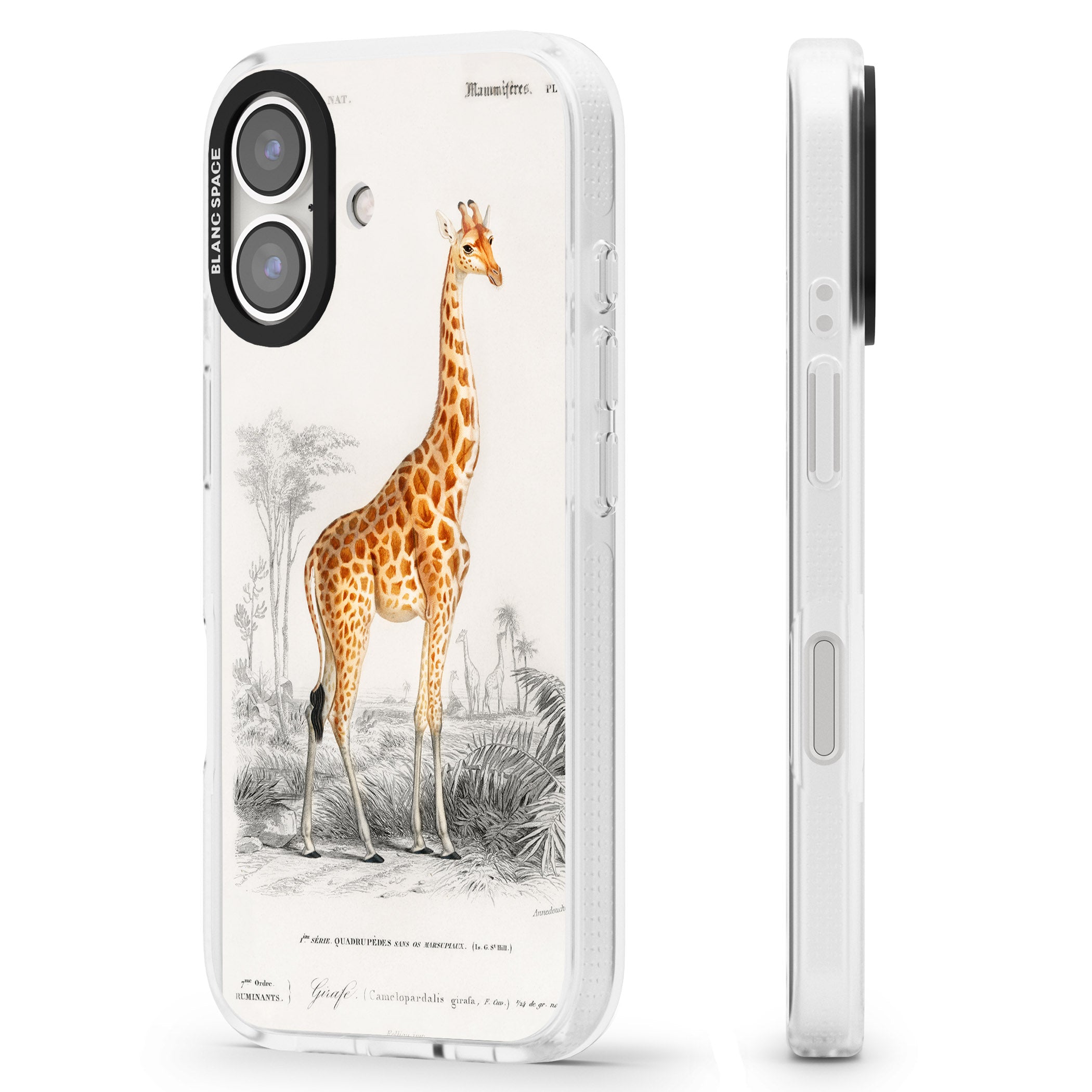 Vintage Giraffe Art iPhone 16 / 16 Plus Clear Case Impact Air - Blanc Space
