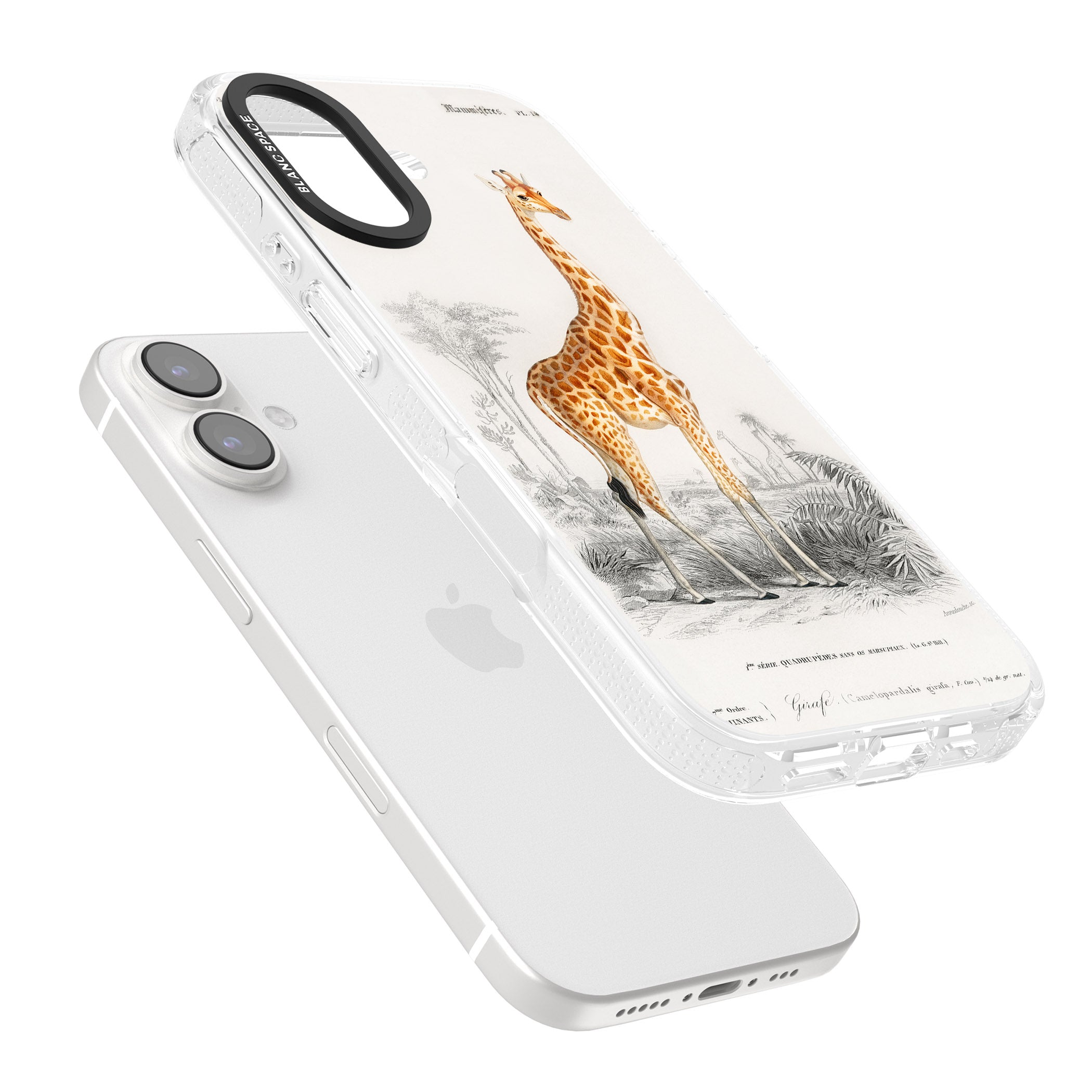 Vintage Giraffe Art iPhone 16 / 16 Plus Clear Case Impact Air - Blanc Space