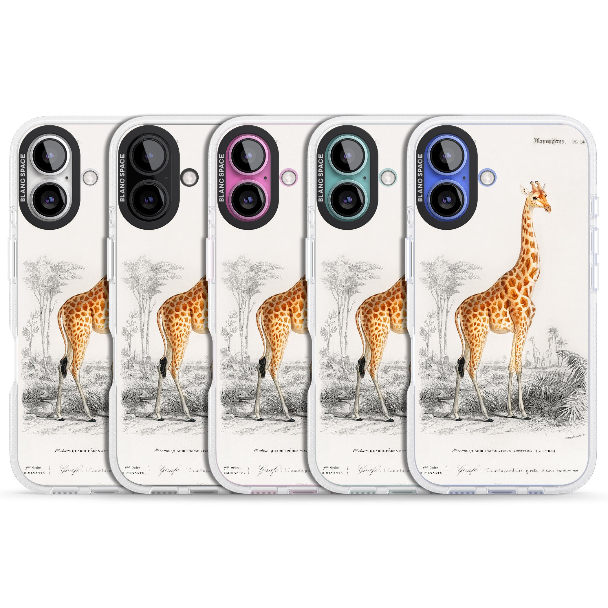 Vintage Giraffe Art iPhone 16 / 16 Plus Clear Case Impact Air - Blanc Space