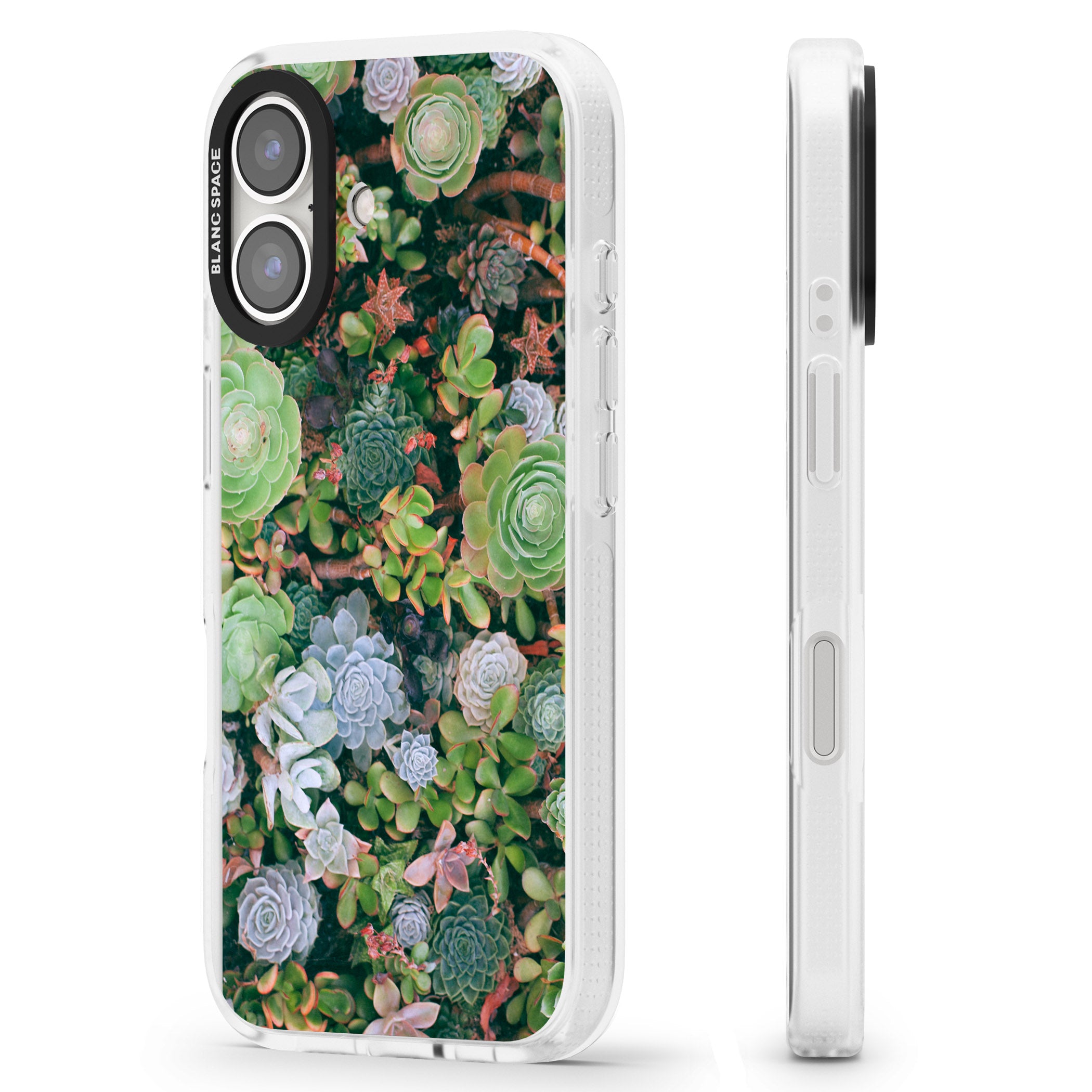 Colourful Succulents Photograph iPhone 16 / 16 Plus Clear Case Impact Air - Blanc Space