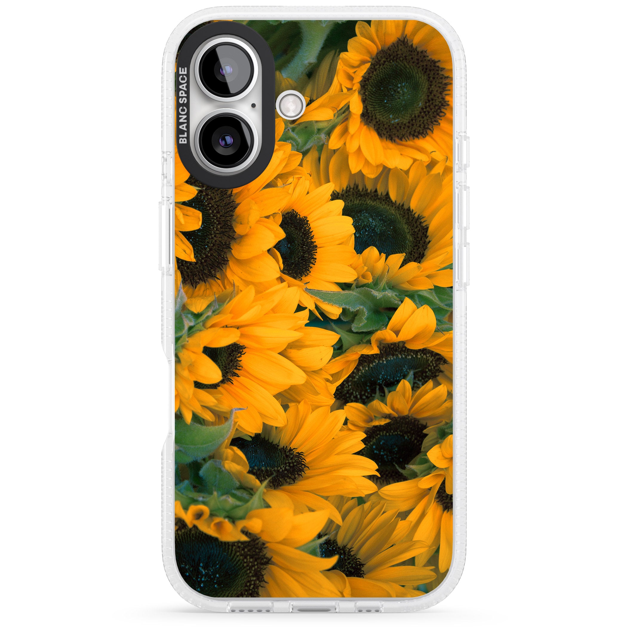 Sunflowers iPhone 16 / 16 Plus Clear Case Impact Air - Blanc Space