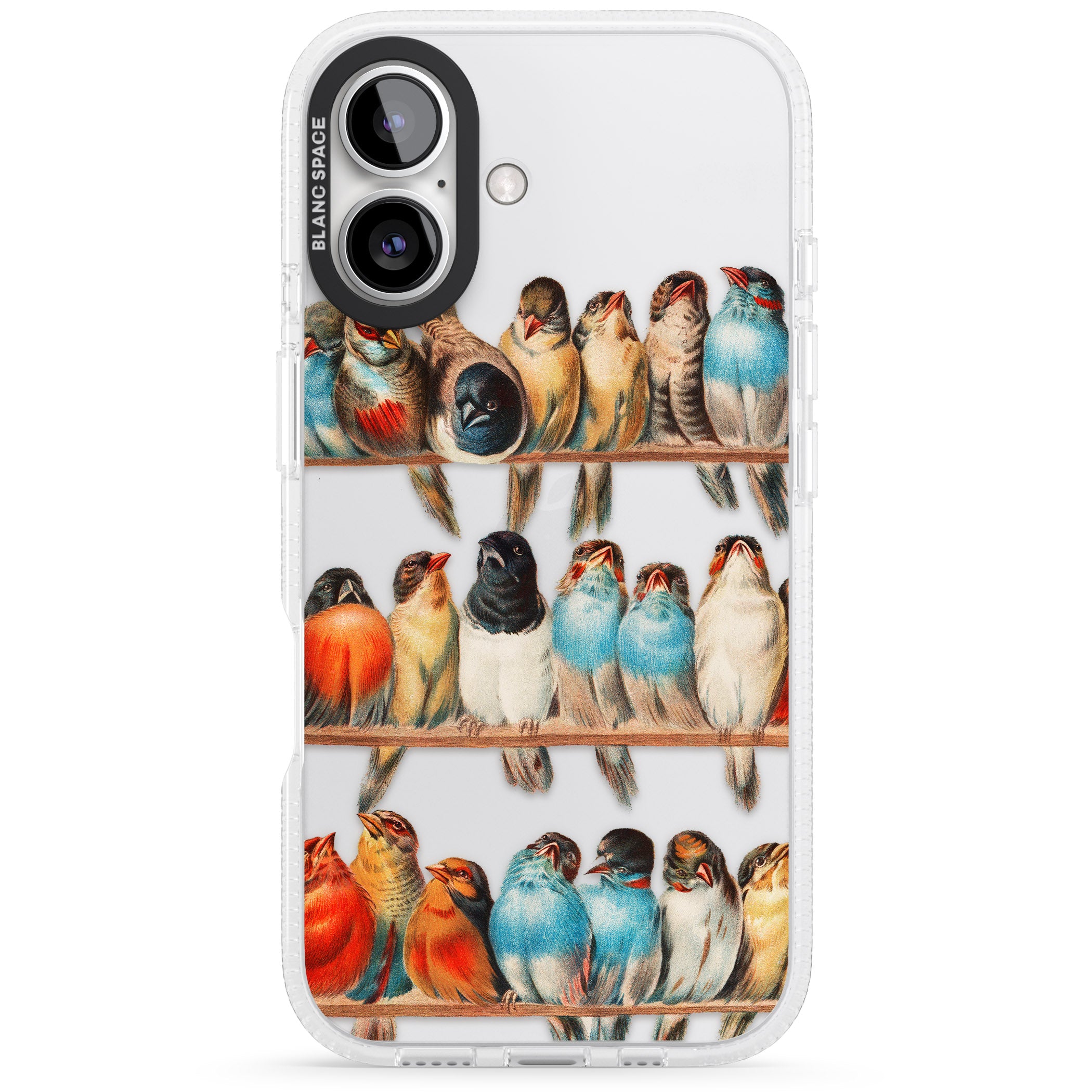 A Perch of Birds iPhone 16 / 16 Plus Clear Case Impact Air - Blanc Space