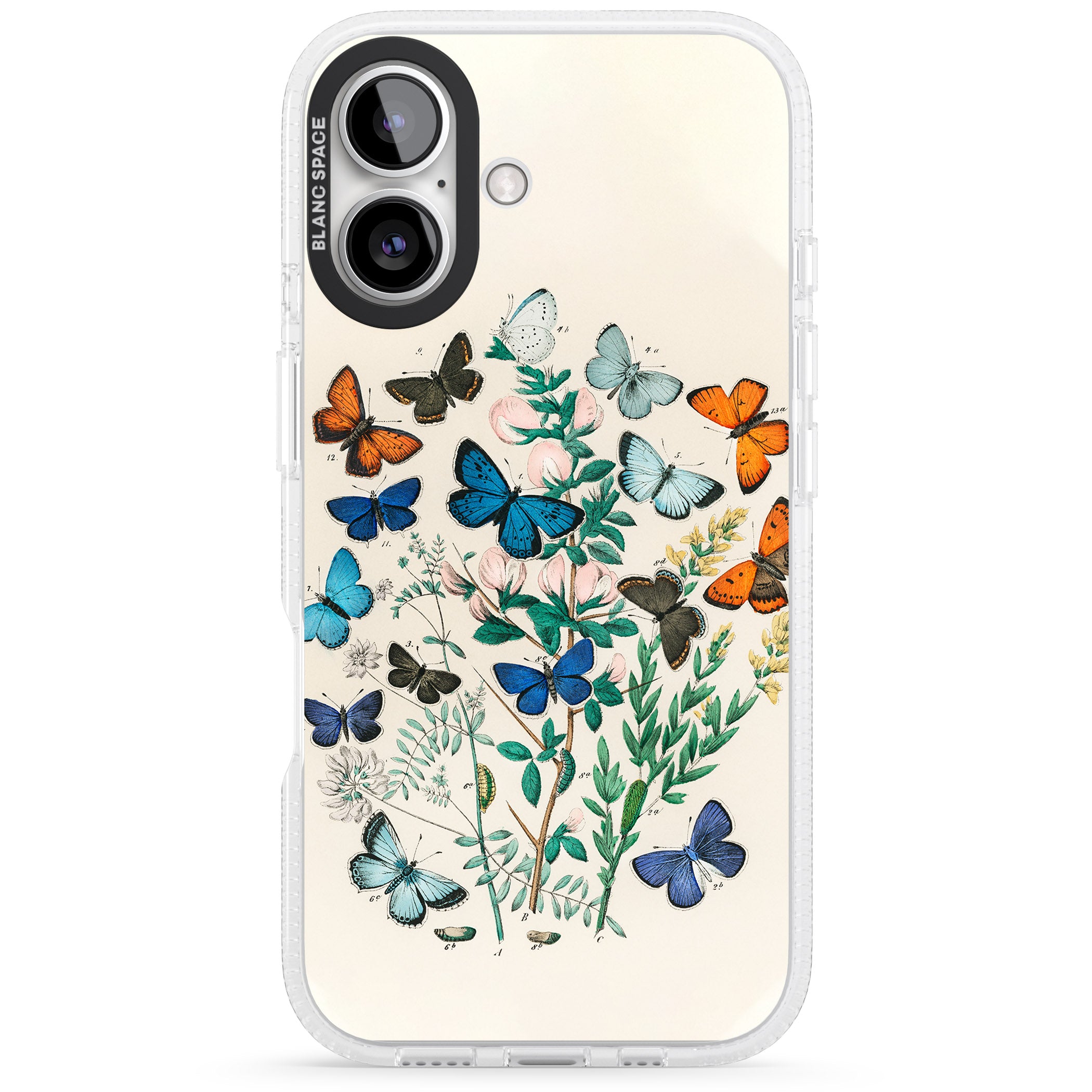 European Butterflies iPhone 16 / 16 Plus Clear Case Impact Air - Blanc Space