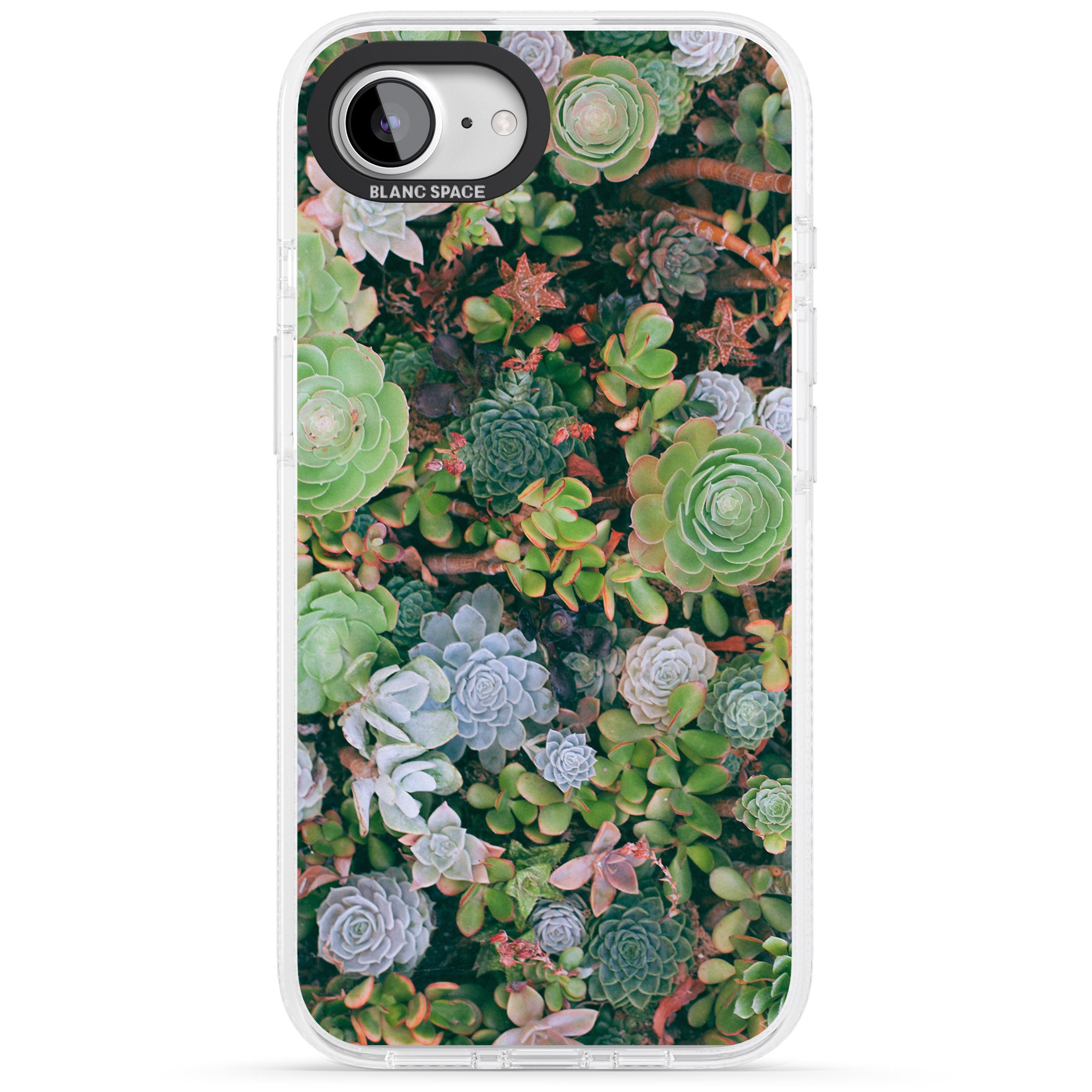 Colourful Succulents Photograph iPhone 16e Clear Case Impact Air - Blanc Space