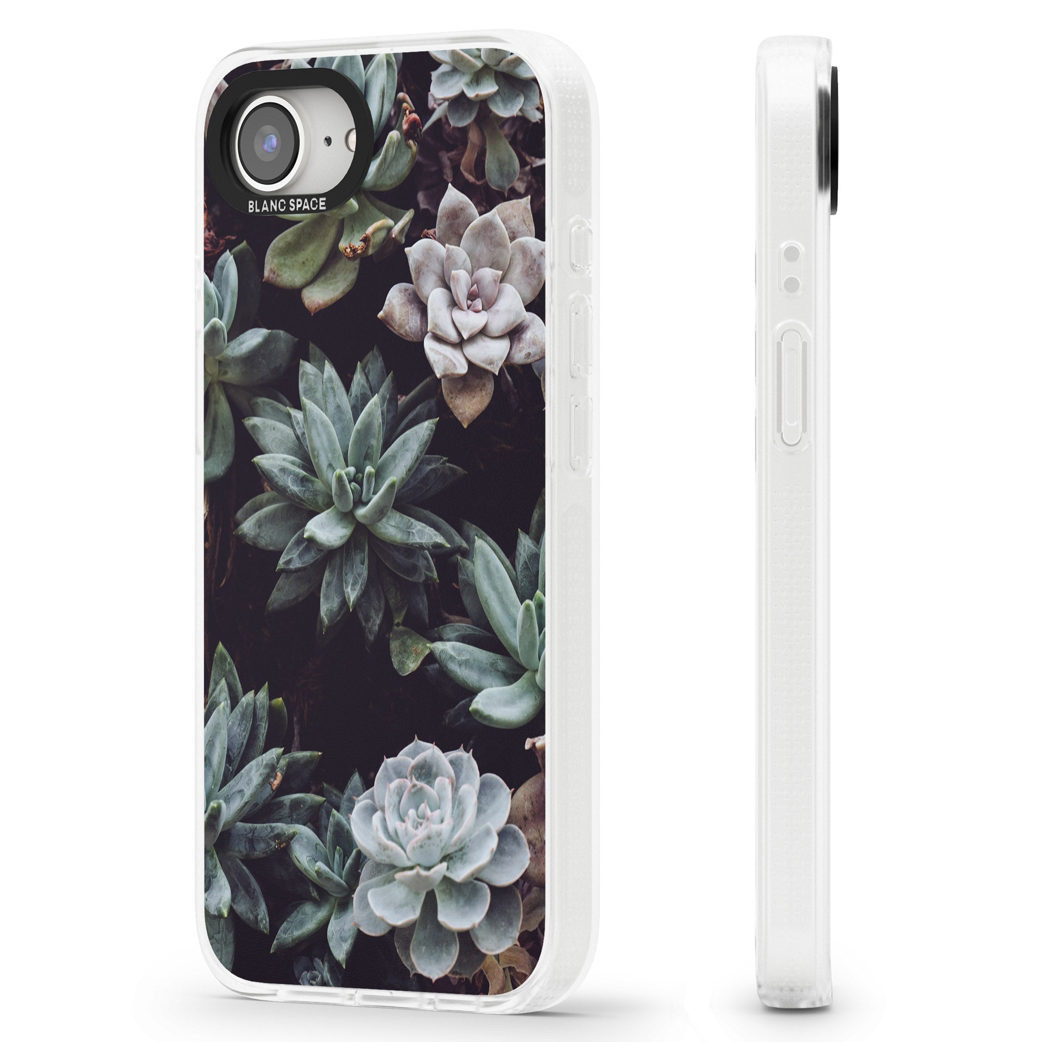 Mixed Succulents - Real Botanical Photographs iPhone 16e Clear Case Impact Air - Blanc Space