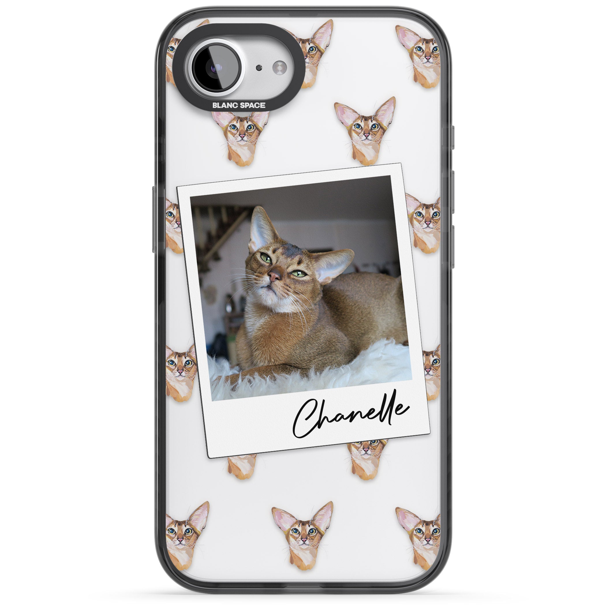 Personalised Abyssinian Cat Photo