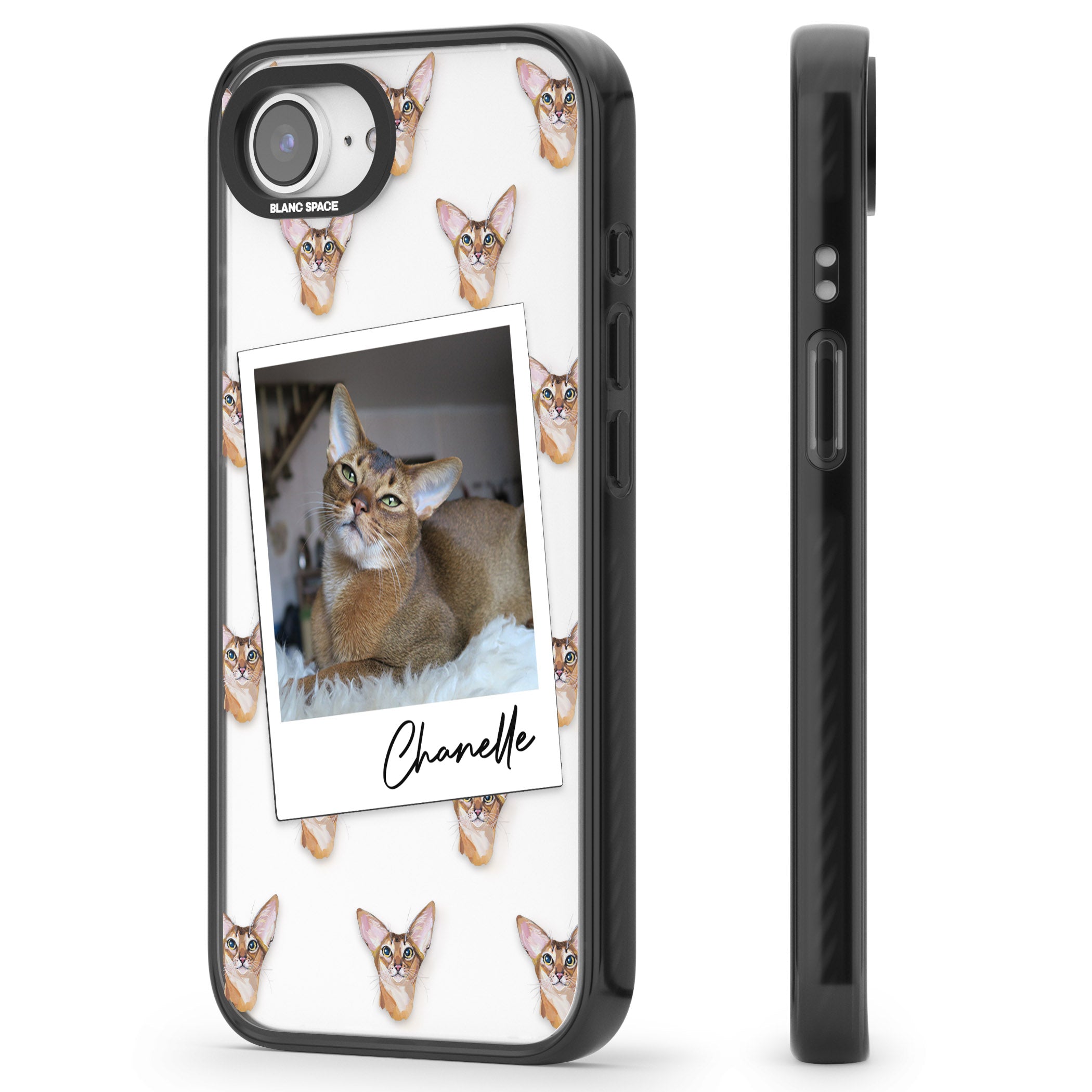 Personalised Abyssinian Cat Photo