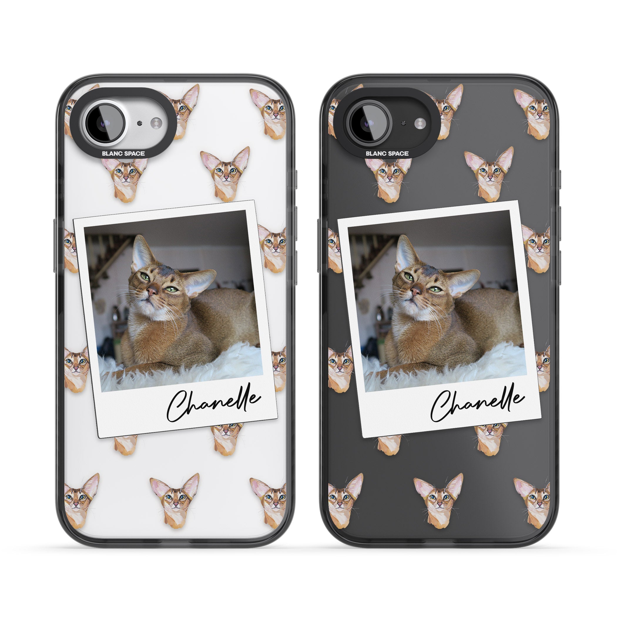 Personalised Abyssinian Cat Photo