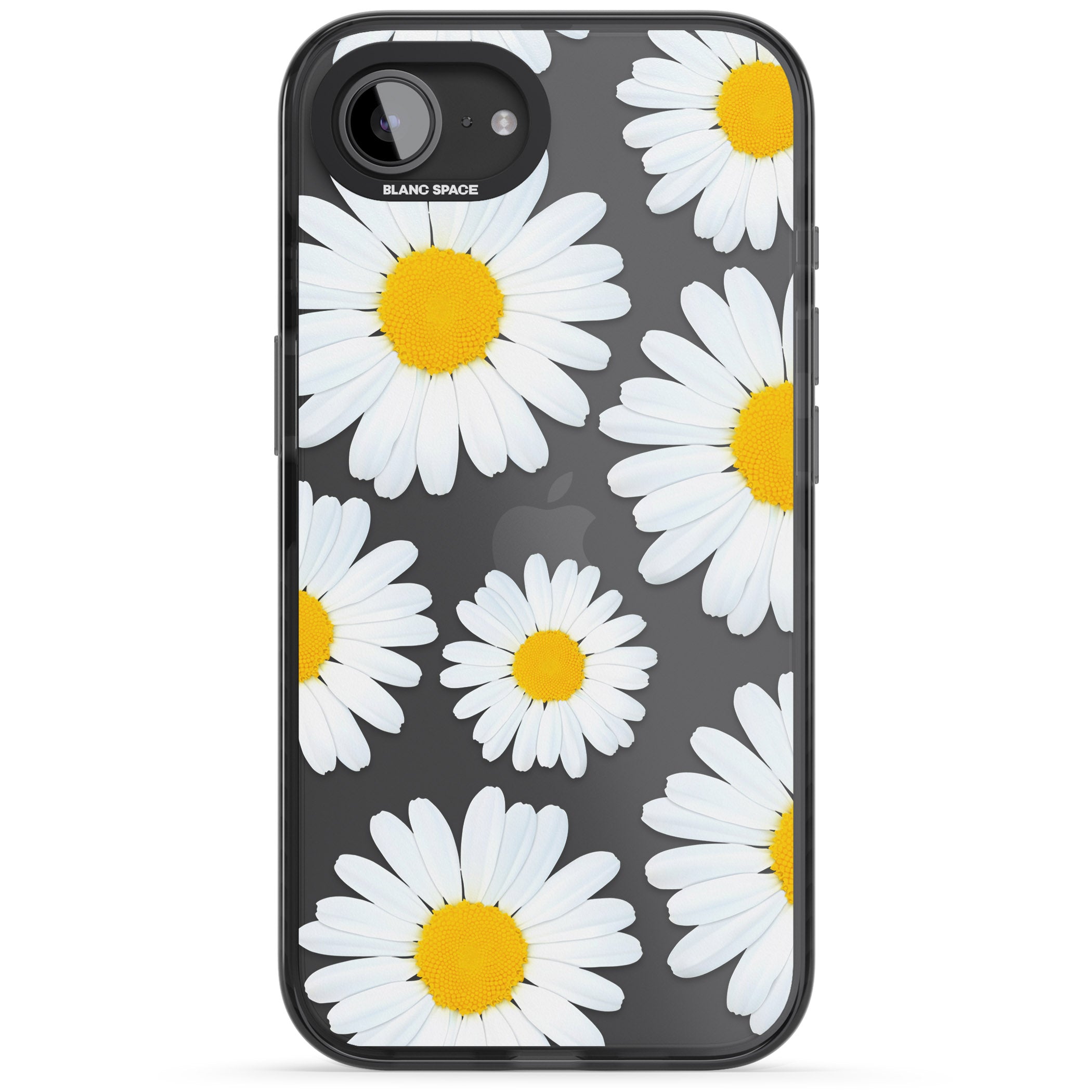 Summer Daisy