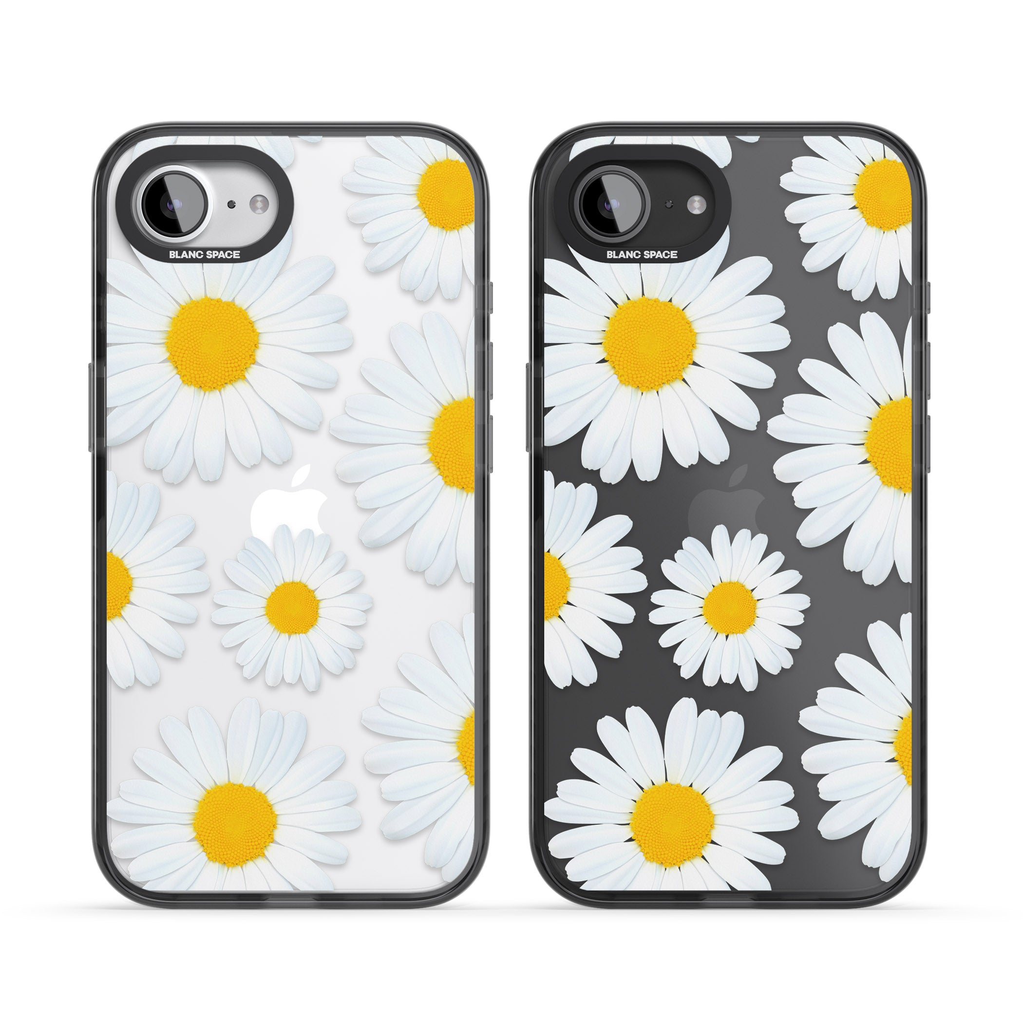 Summer Daisy