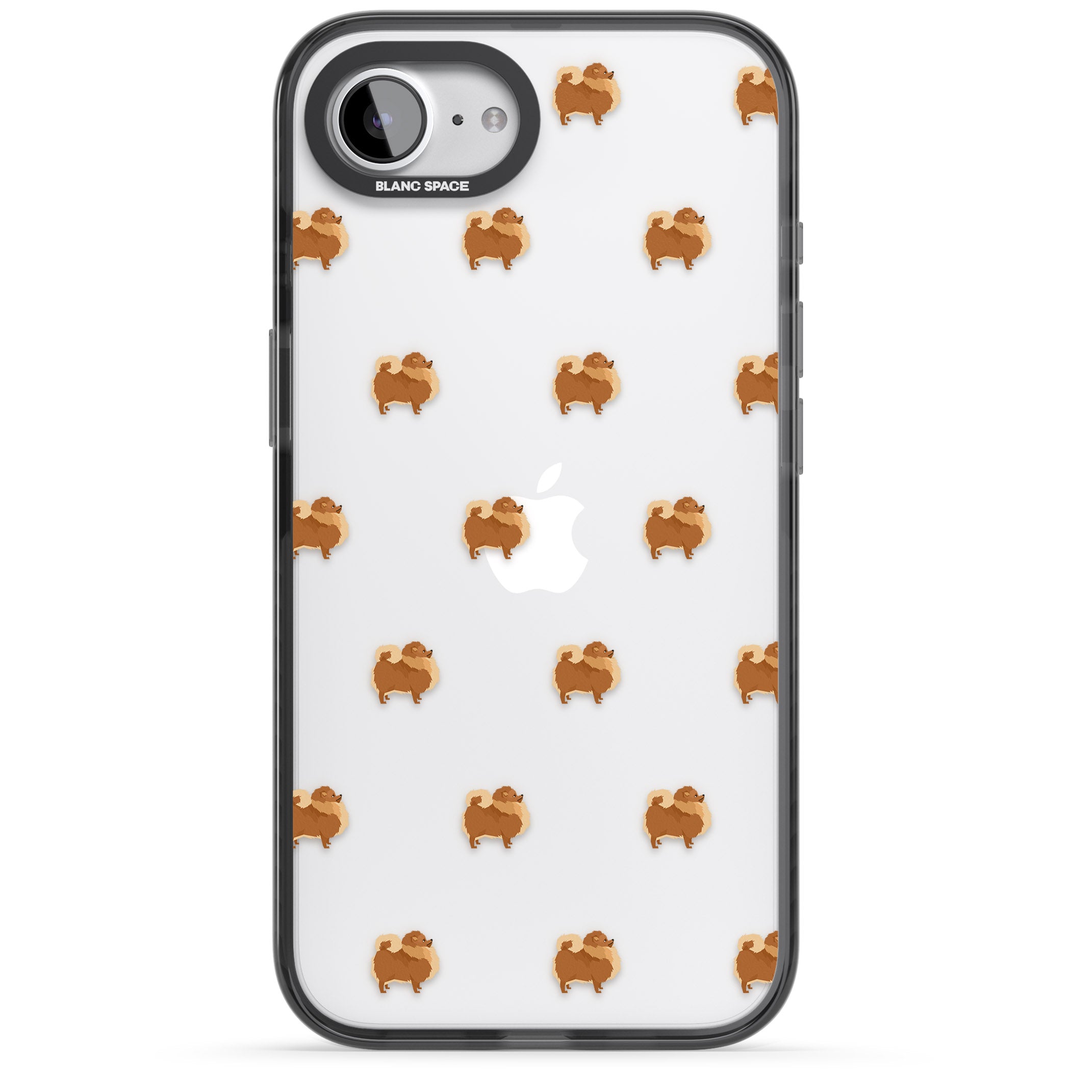 Pomeranian Delight