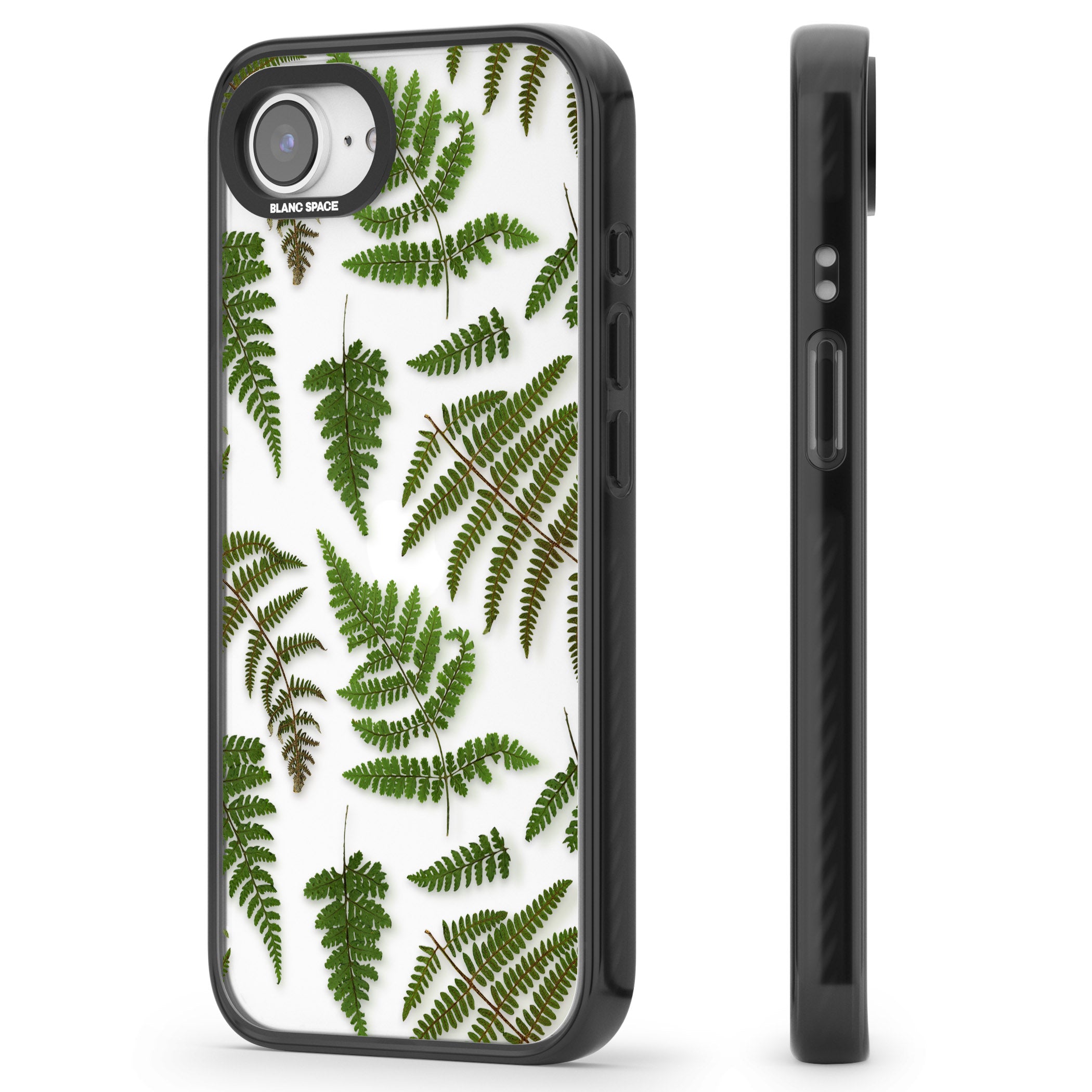 Leafy Ferns