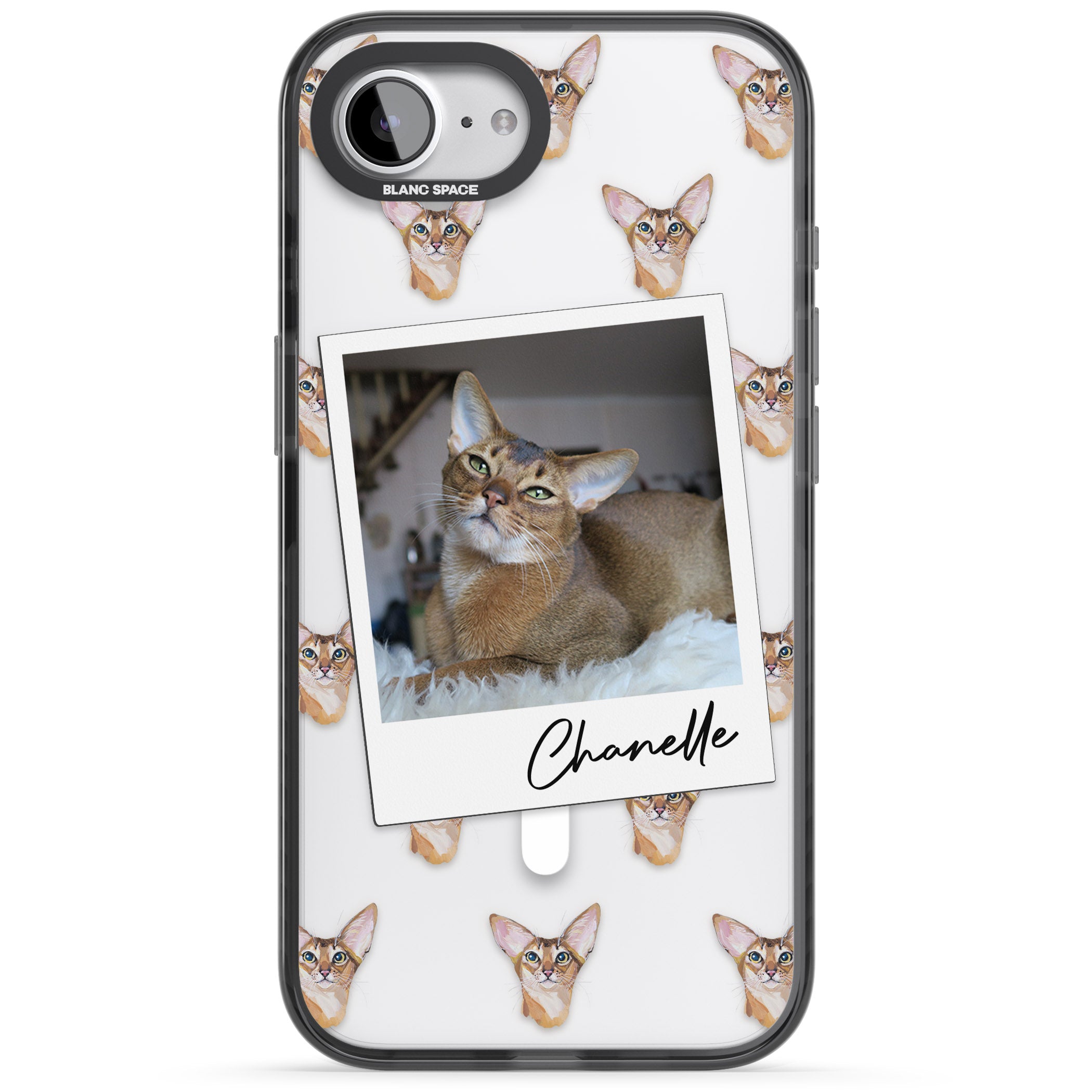 Personalised Abyssinian Cat Photo