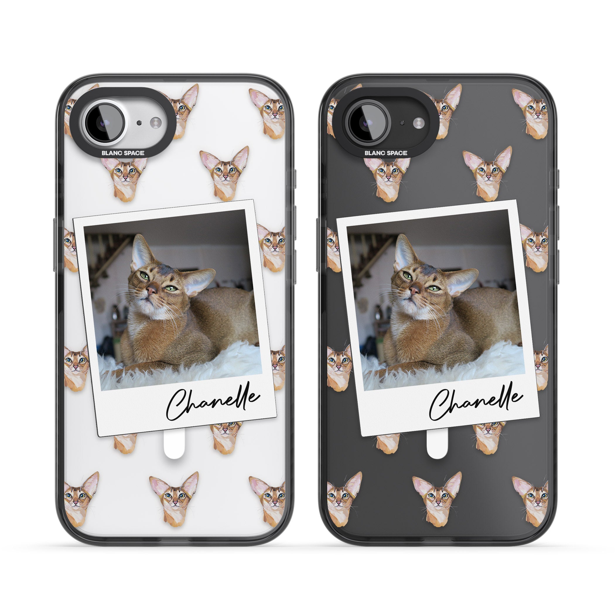 Personalised Abyssinian Cat Photo