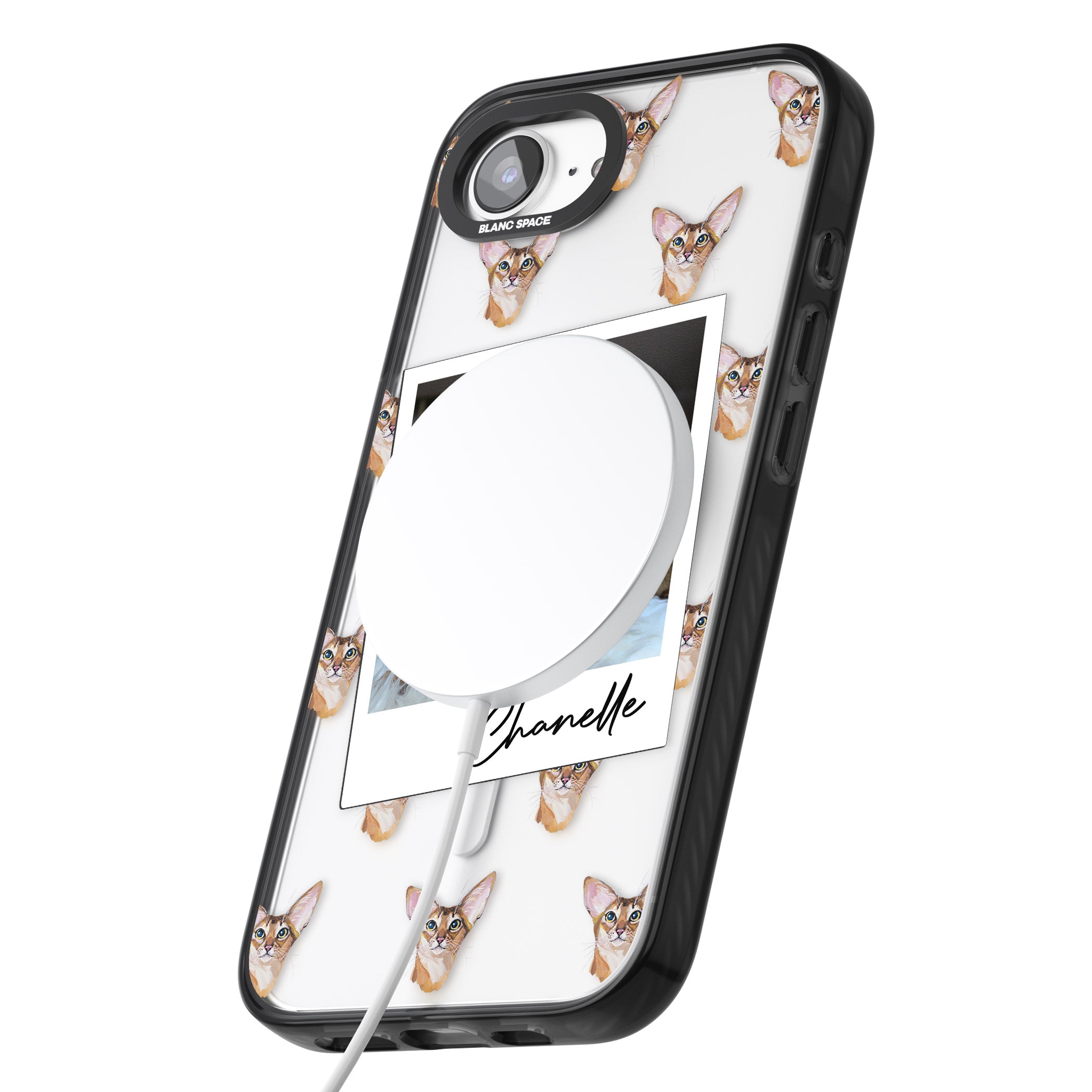 Personalised Abyssinian Cat Photo