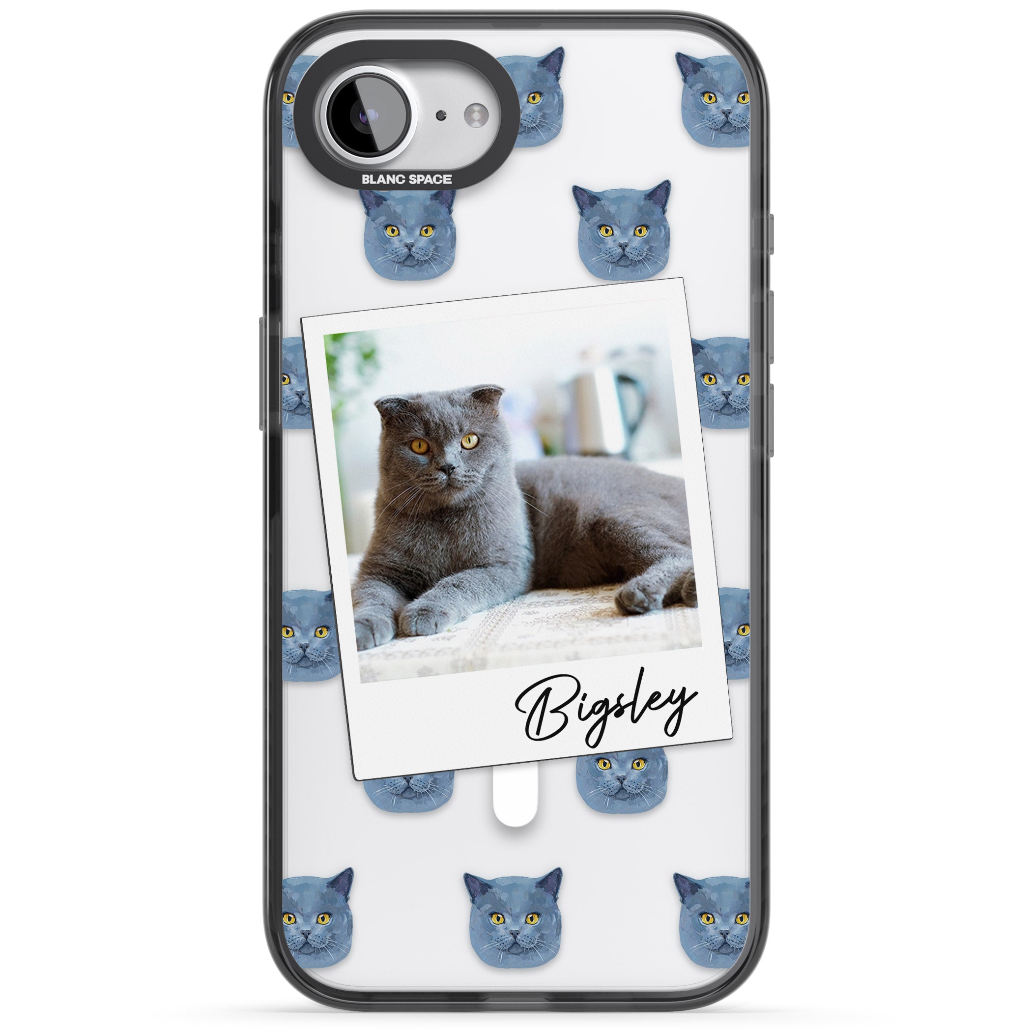 Personalised English Blue Cat Photo