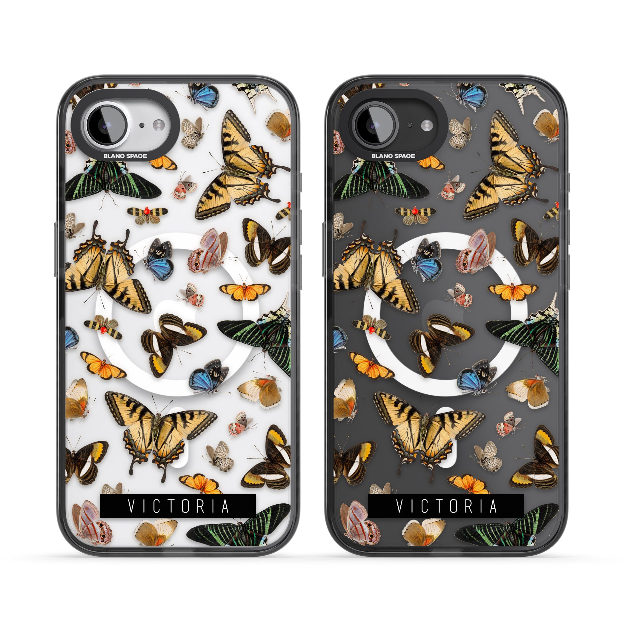 Personalised Butterfly Archive