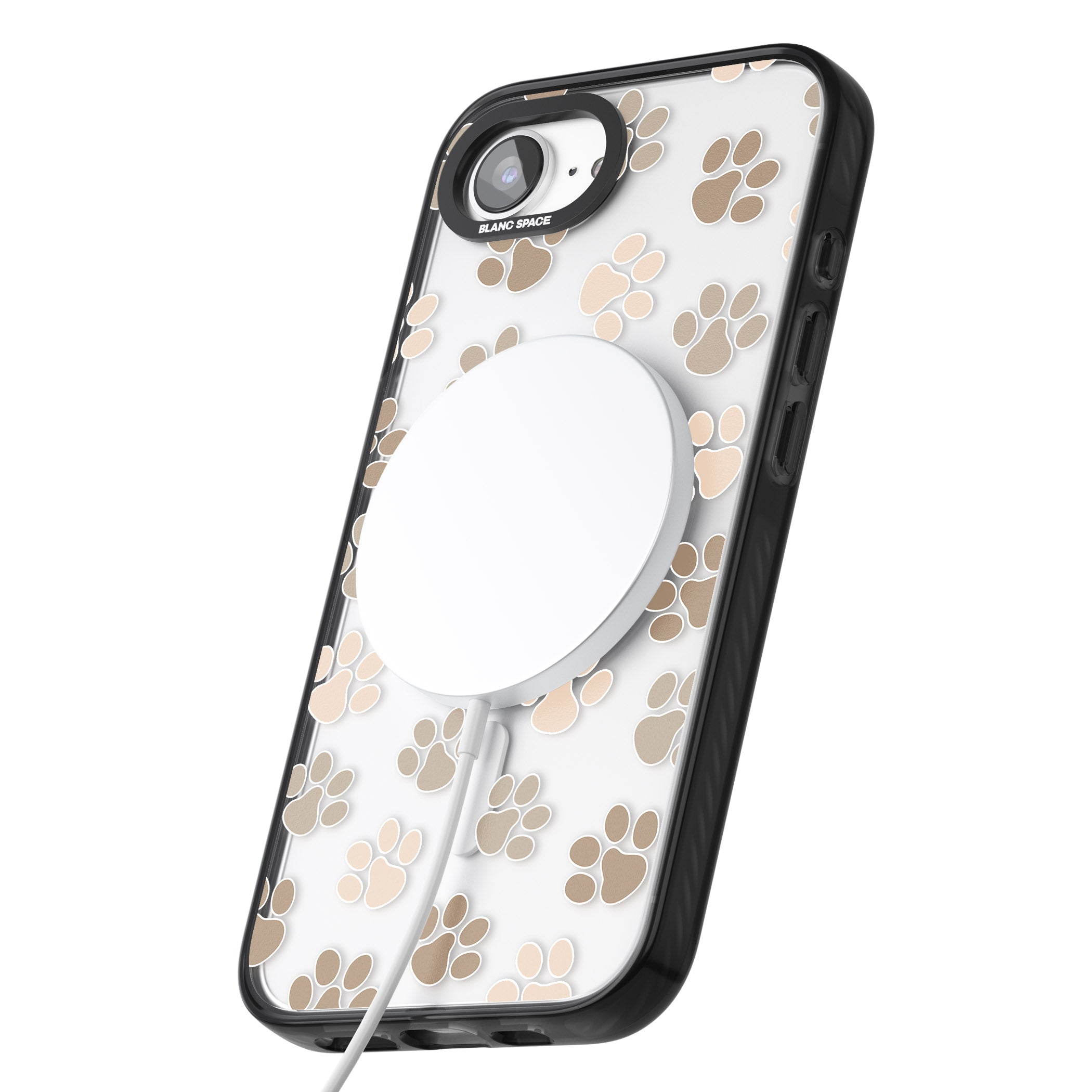 Paw Prints