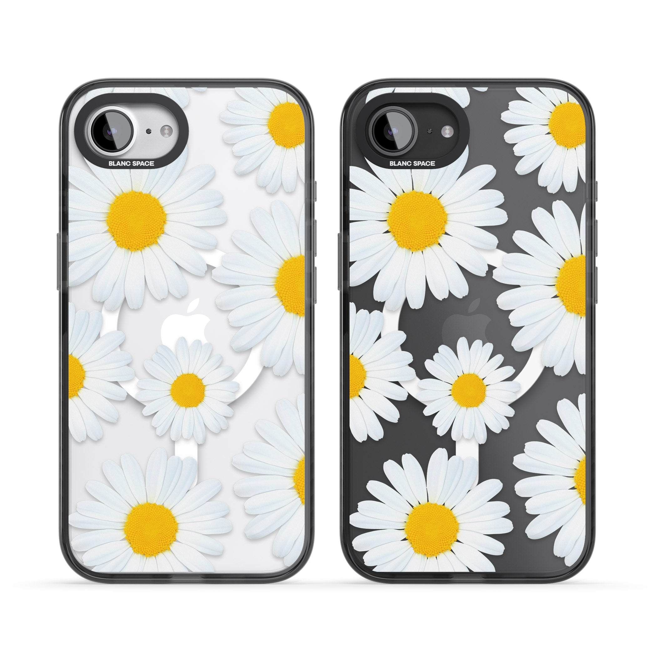 Summer Daisy