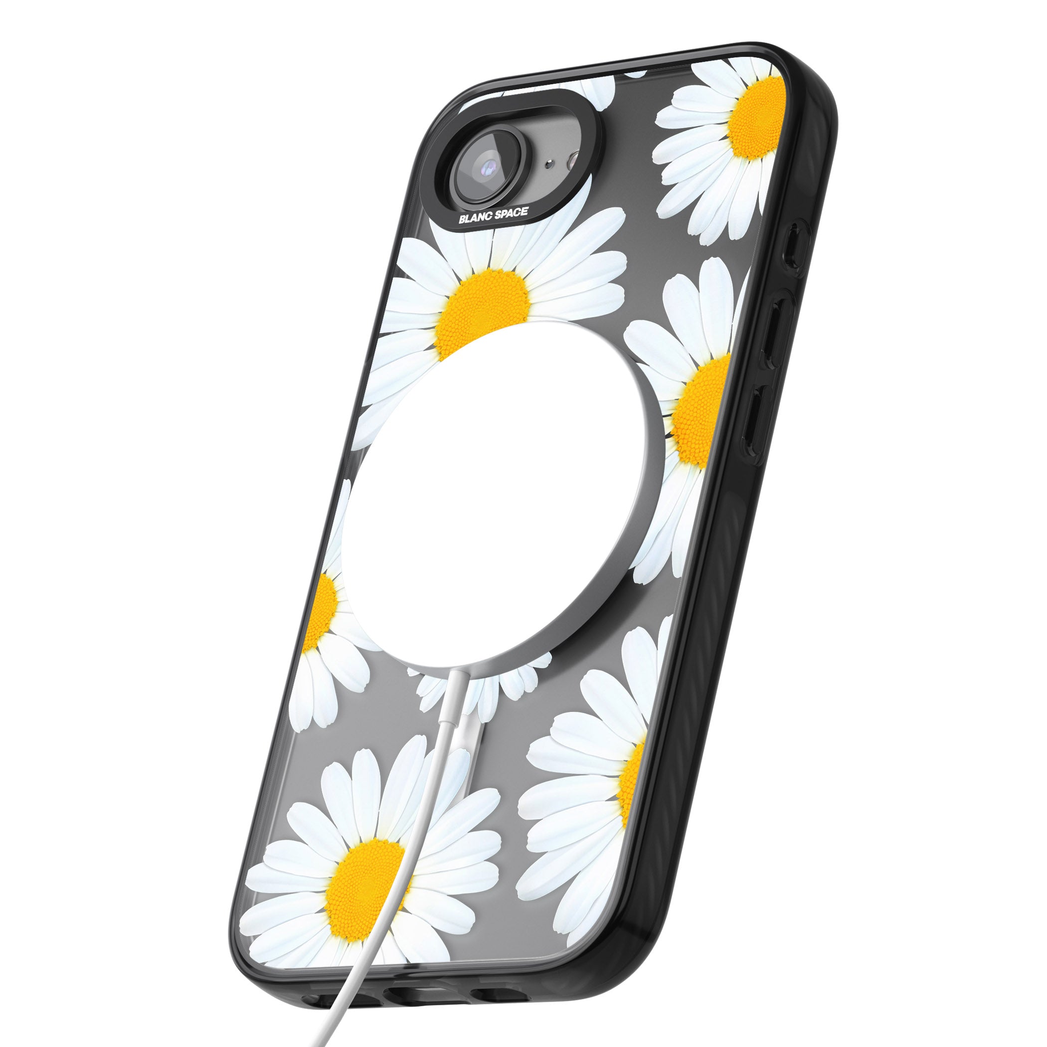 Summer Daisy