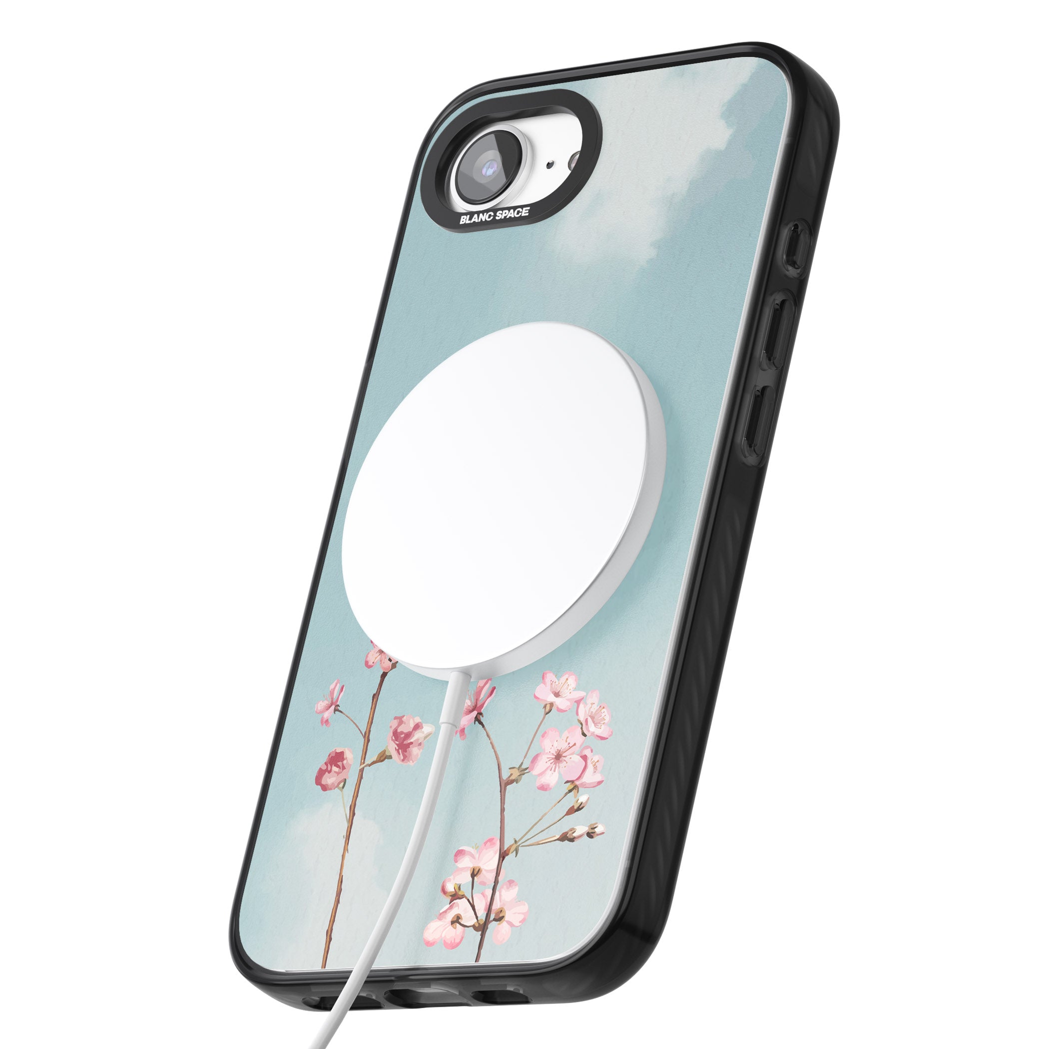 Blossom Flower Sky