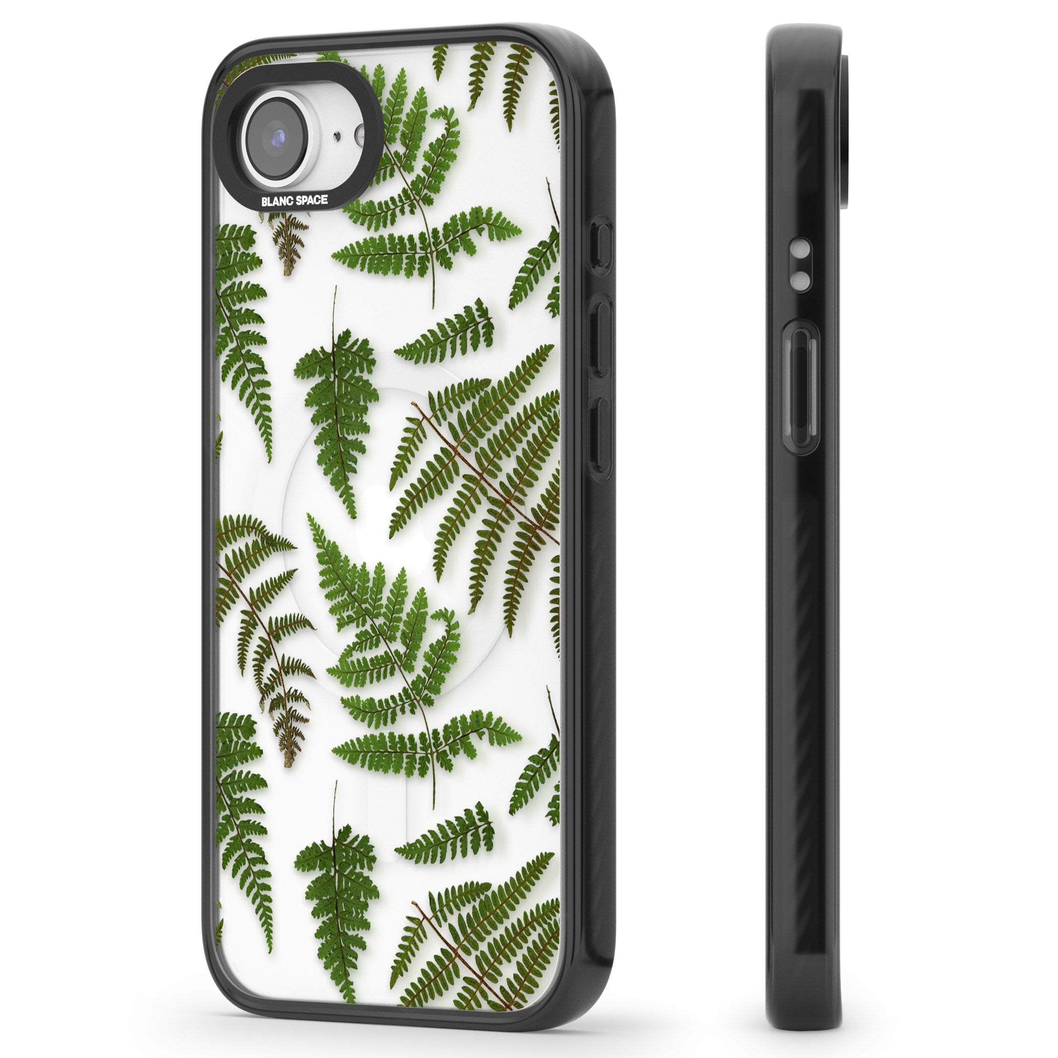 Leafy Ferns