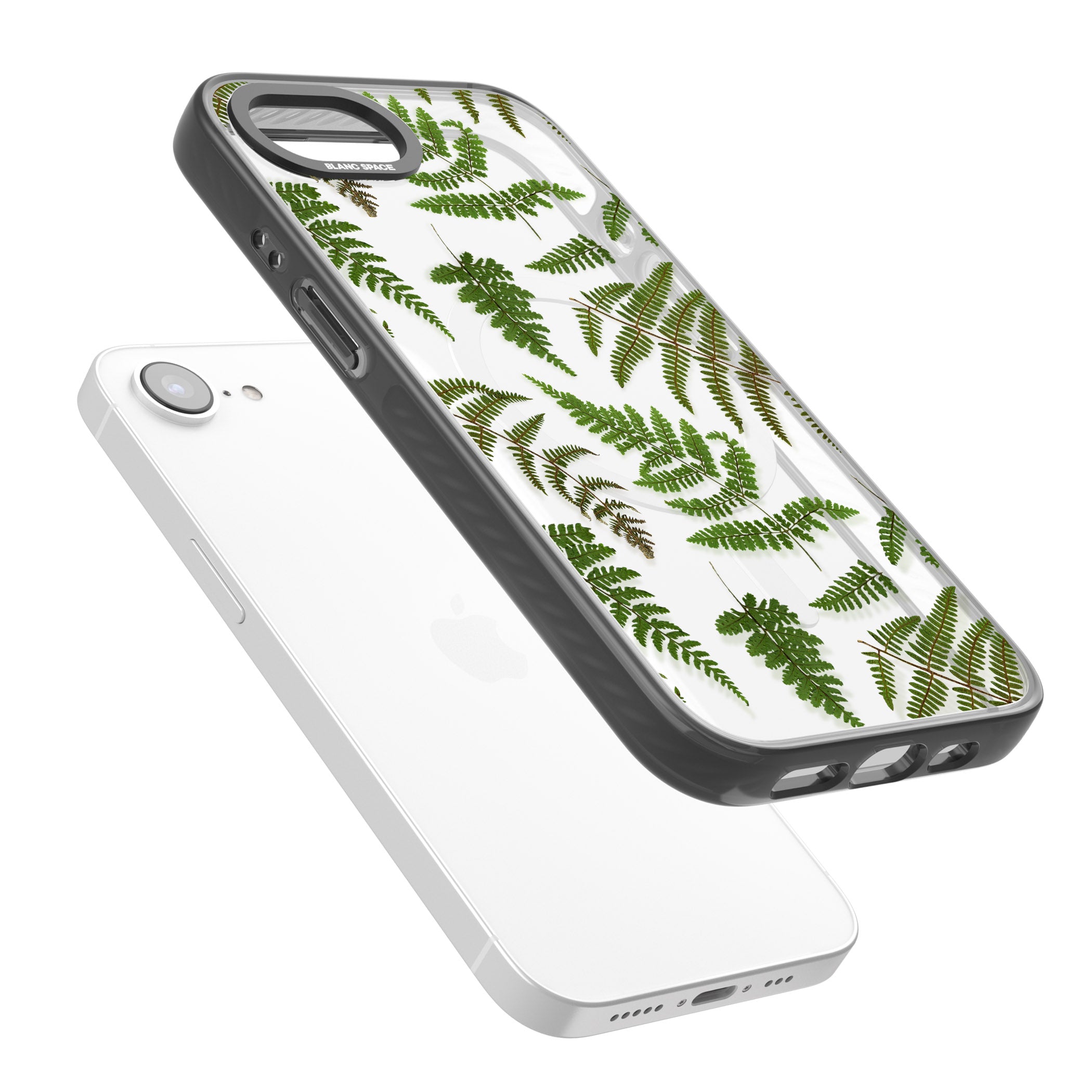 Leafy Ferns