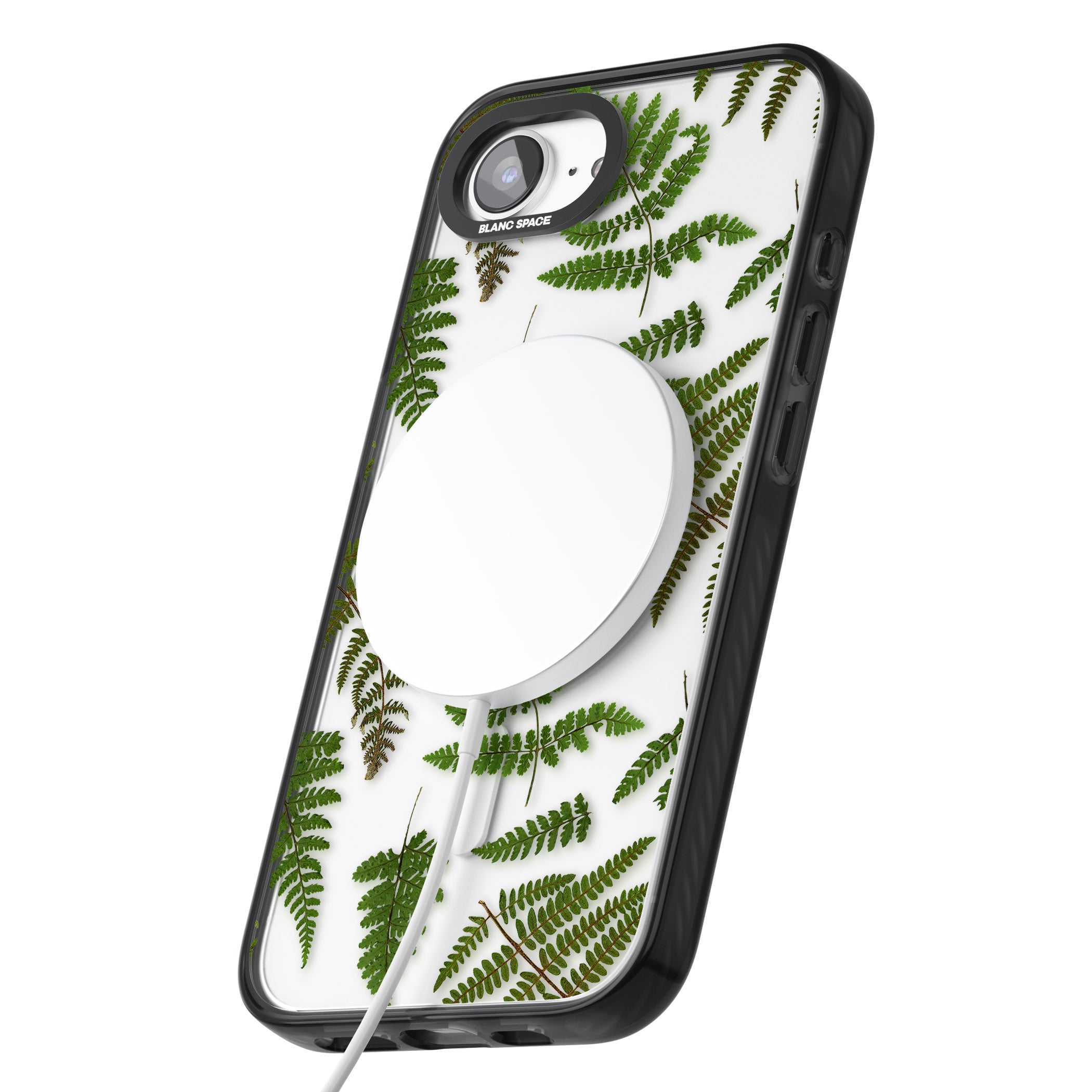 Leafy Ferns
