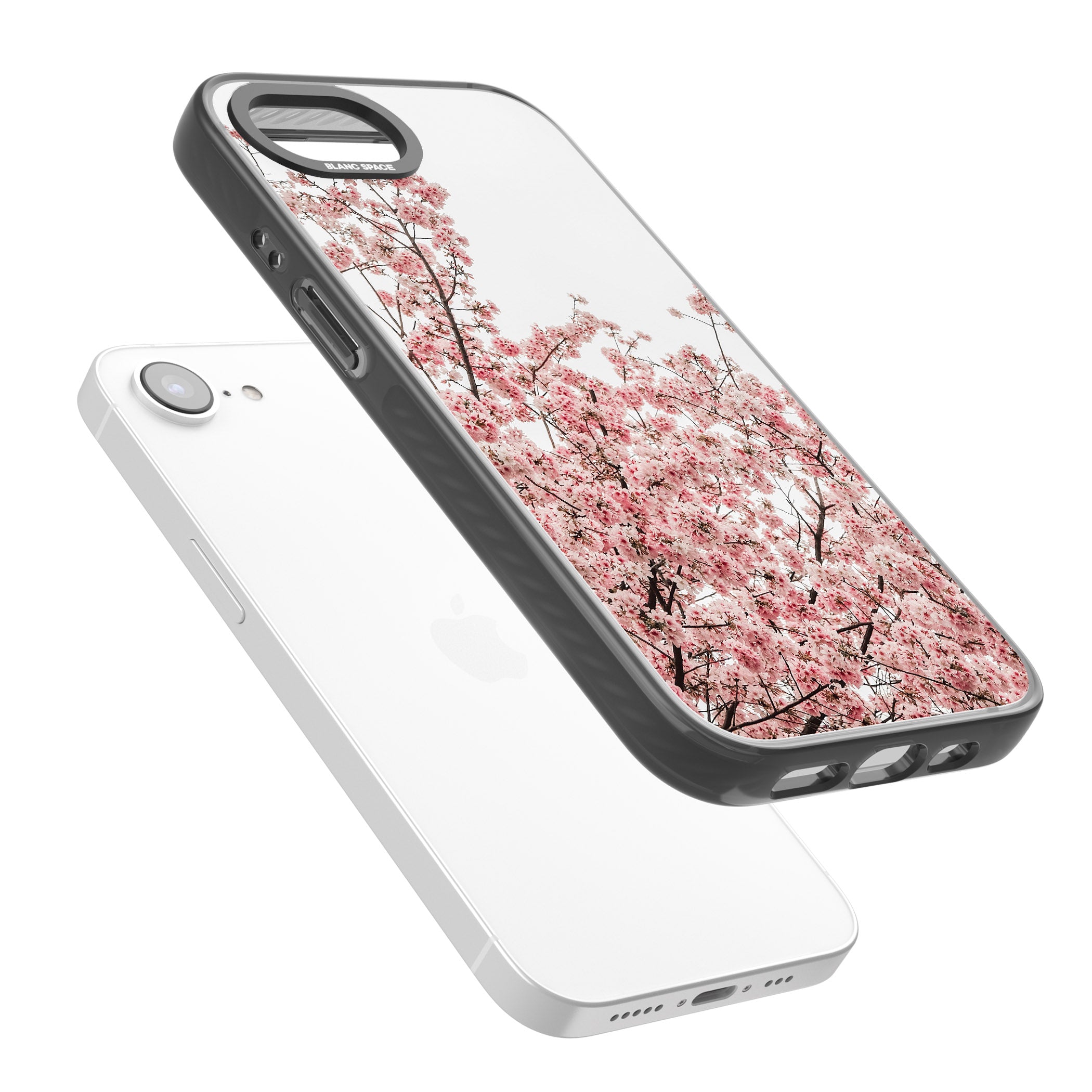 Cherry Blossom Bloom