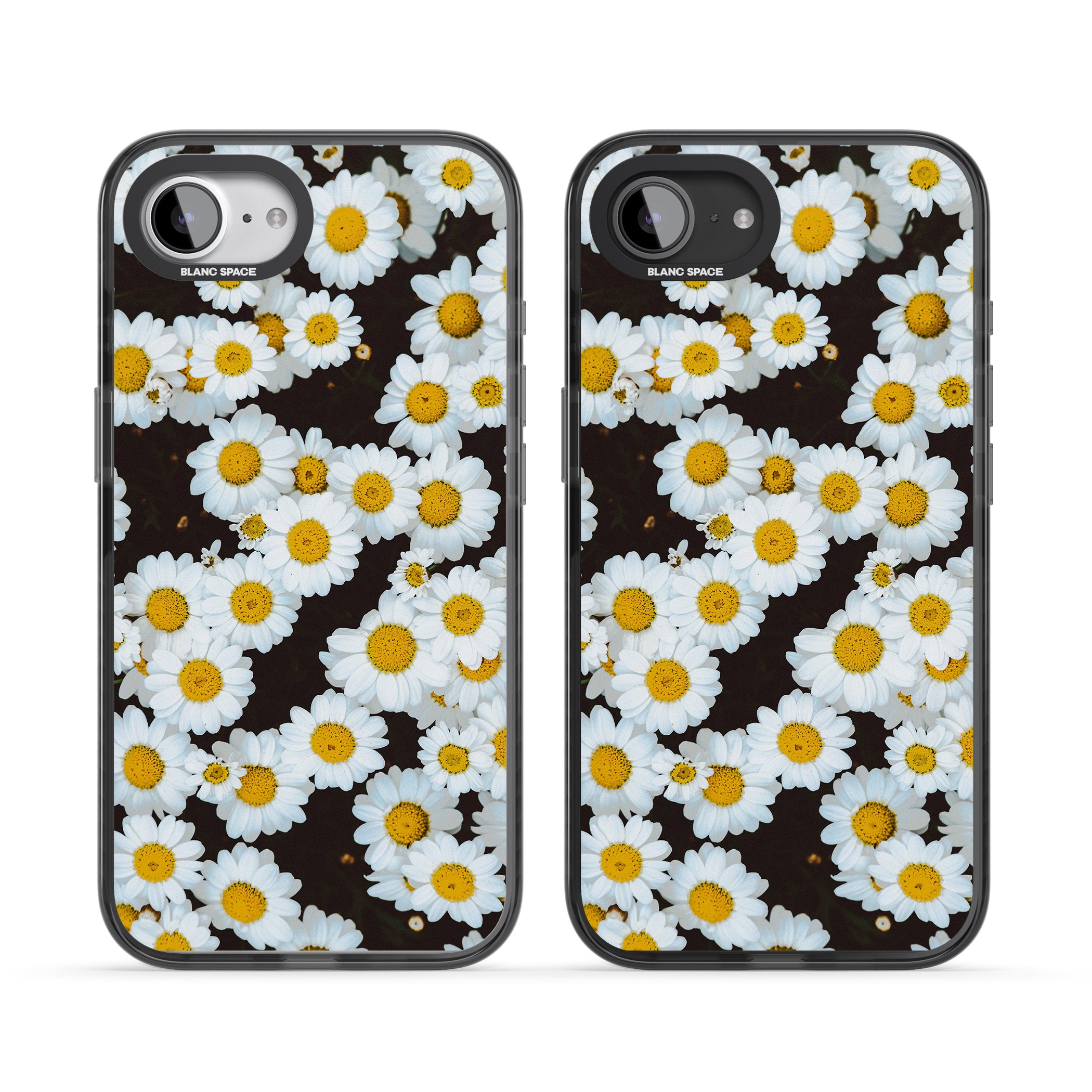 Daisy Dream