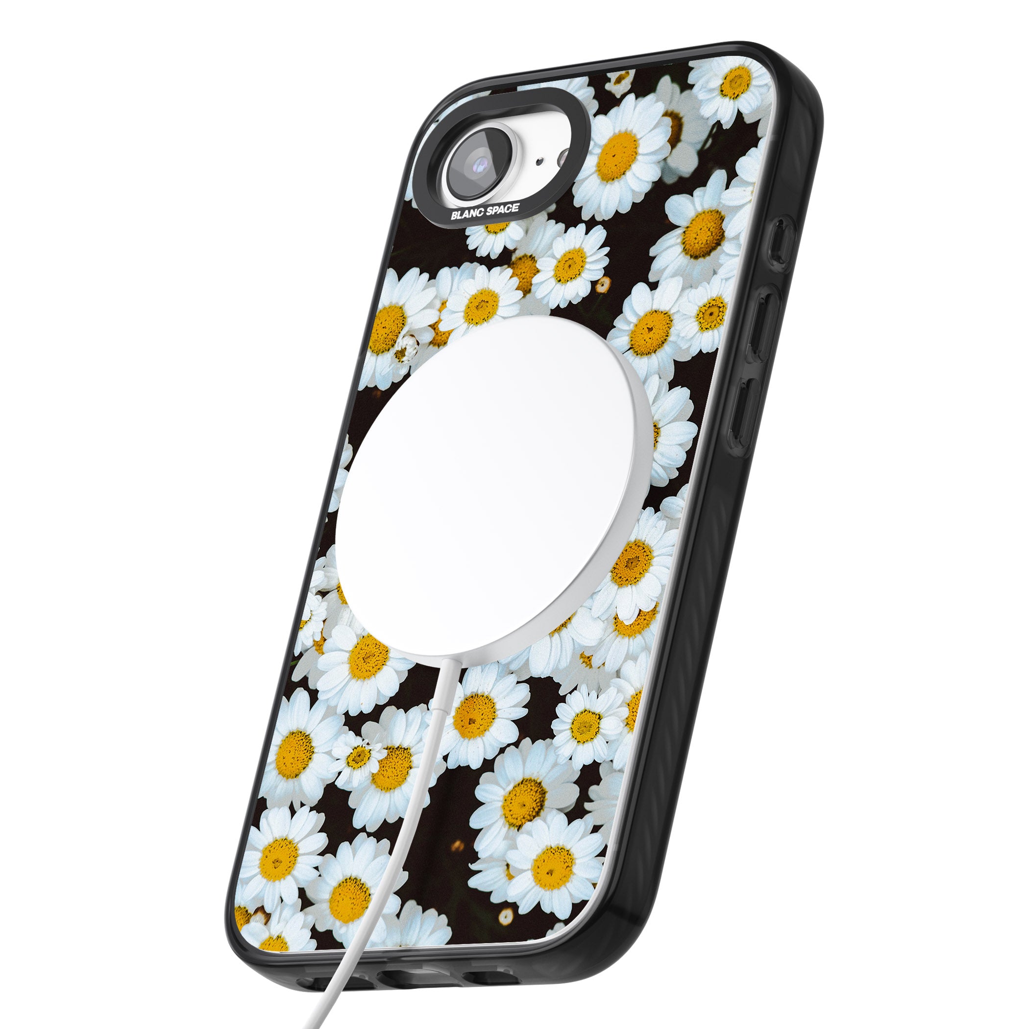Daisy Dream