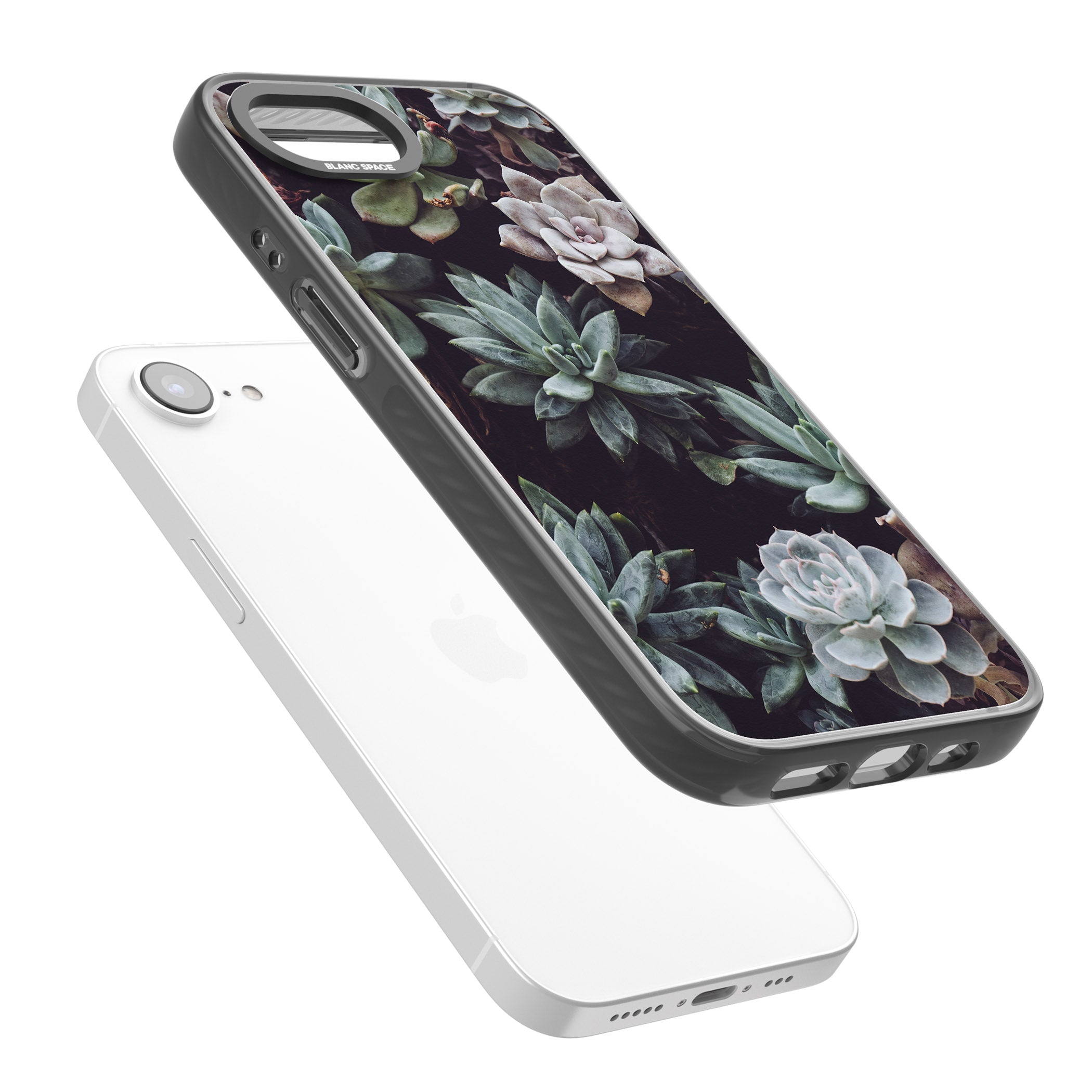 Succulent Bloom Mixed