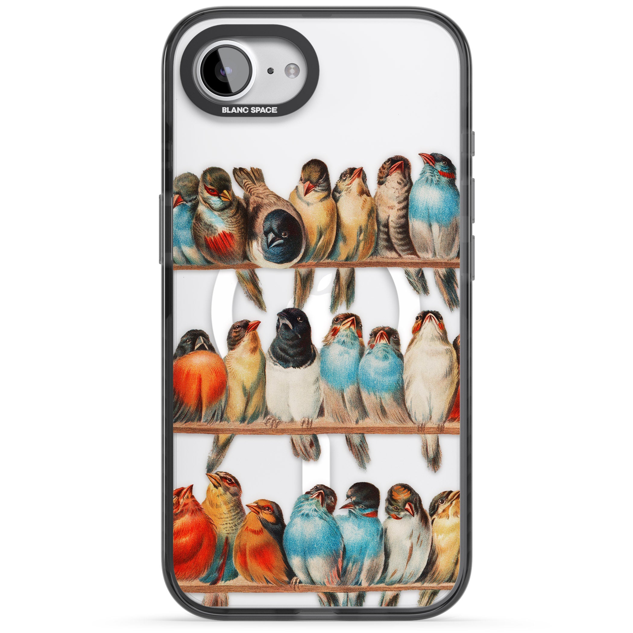 A Perch Of Birds