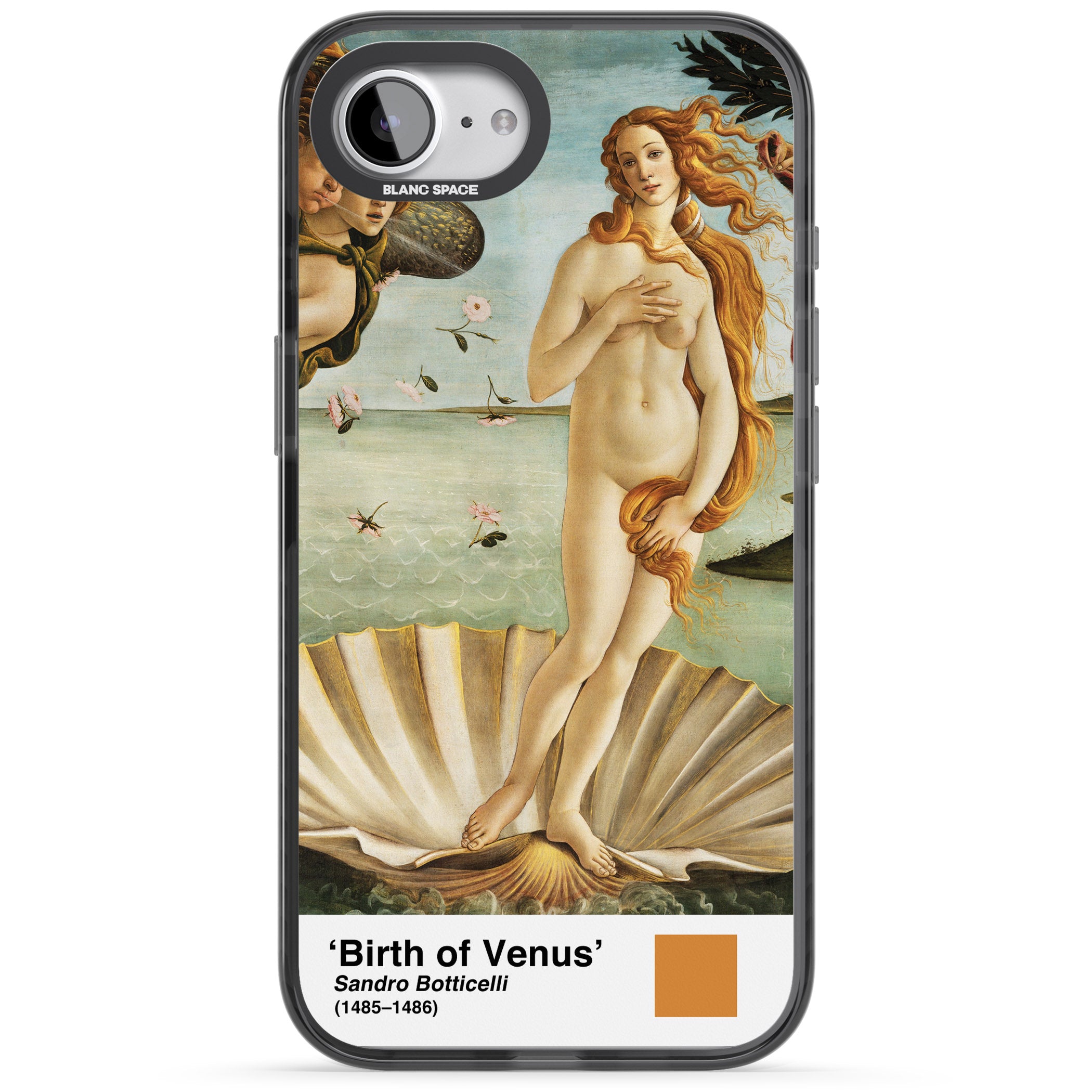 The Birth Of Venus