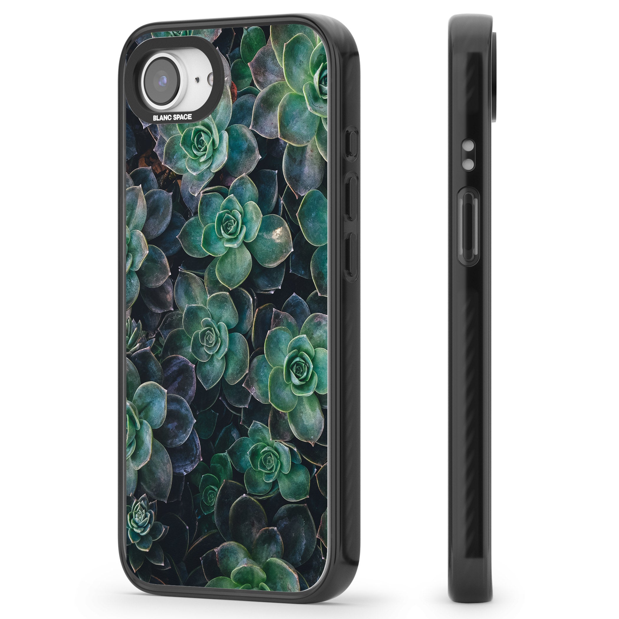 Succulent Bloom Botanical