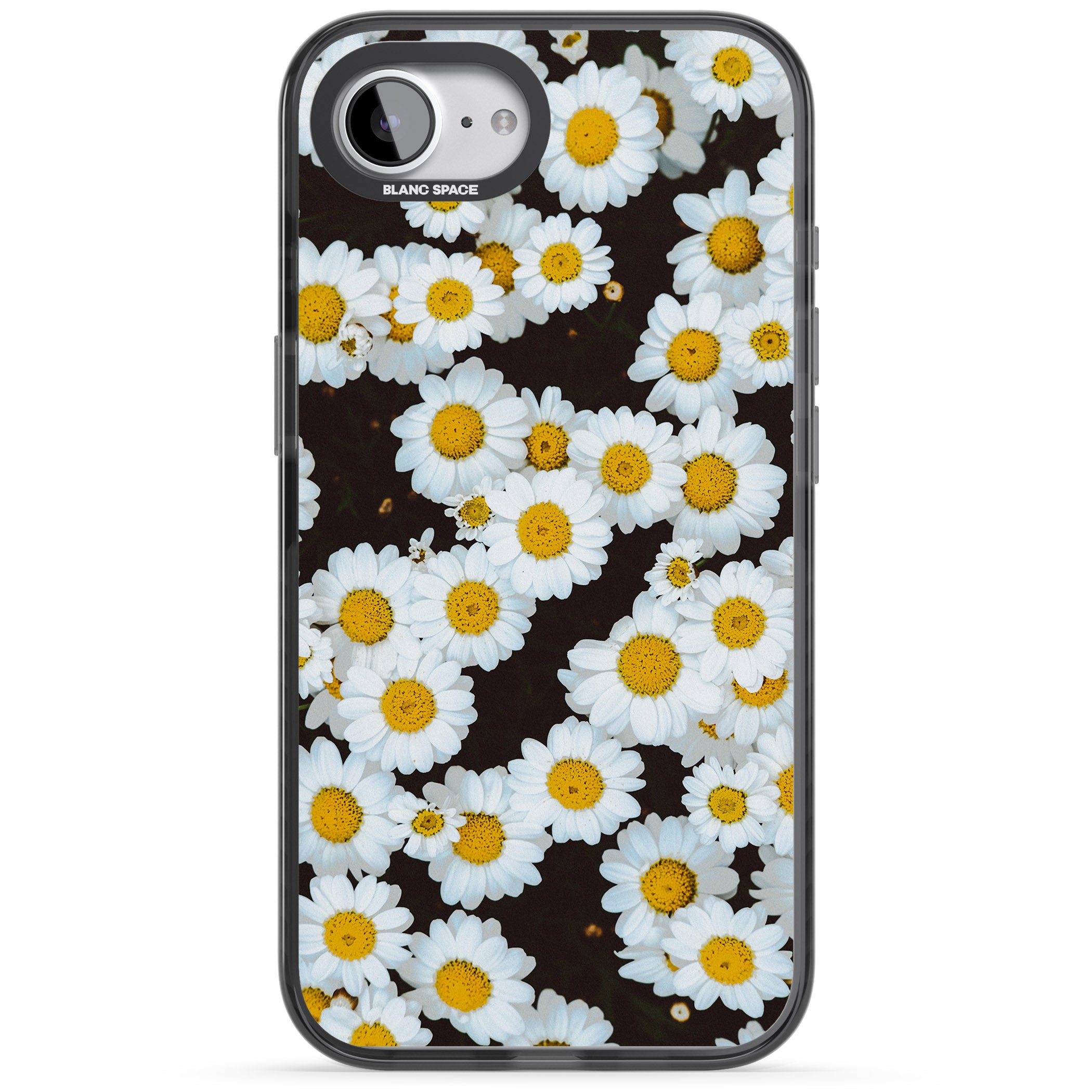 Daisy Dream