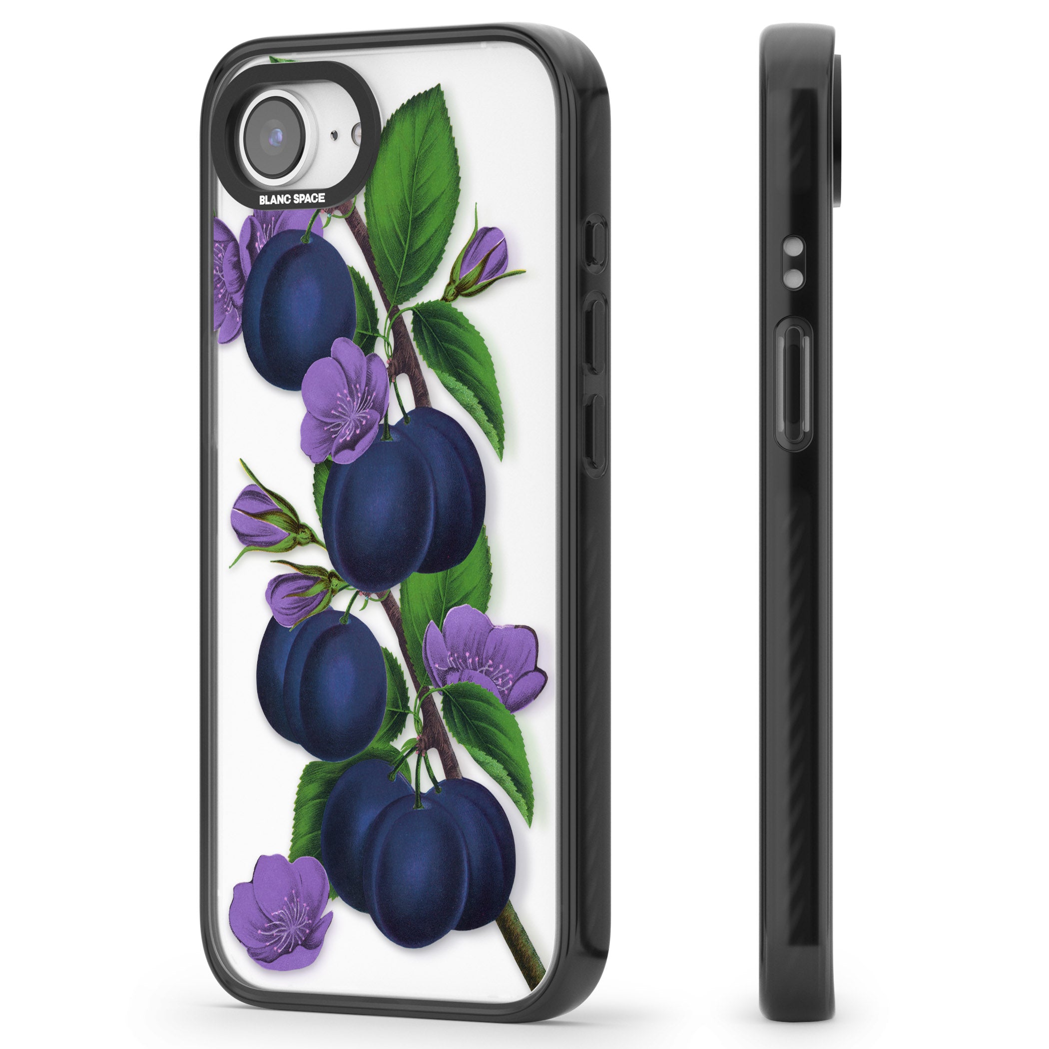 Vintage Painted Plums