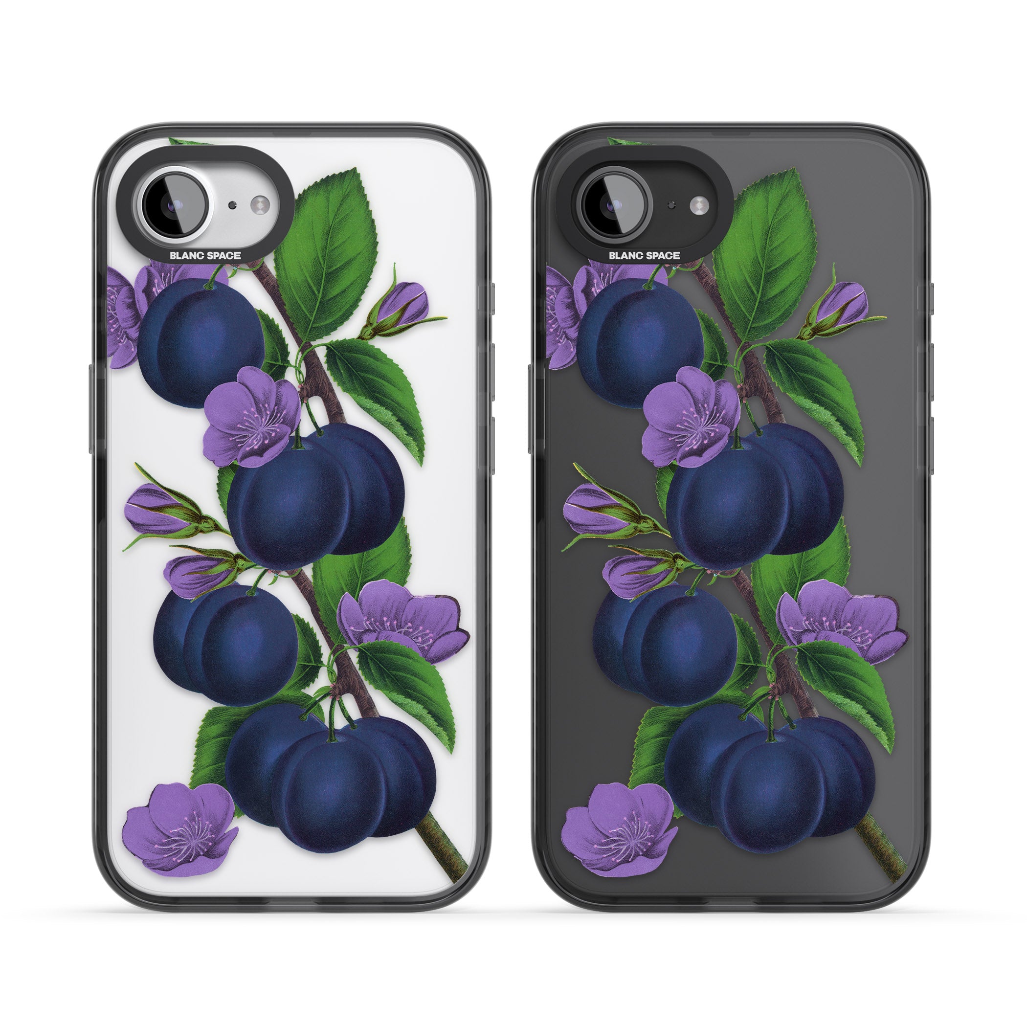 Vintage Painted Plums