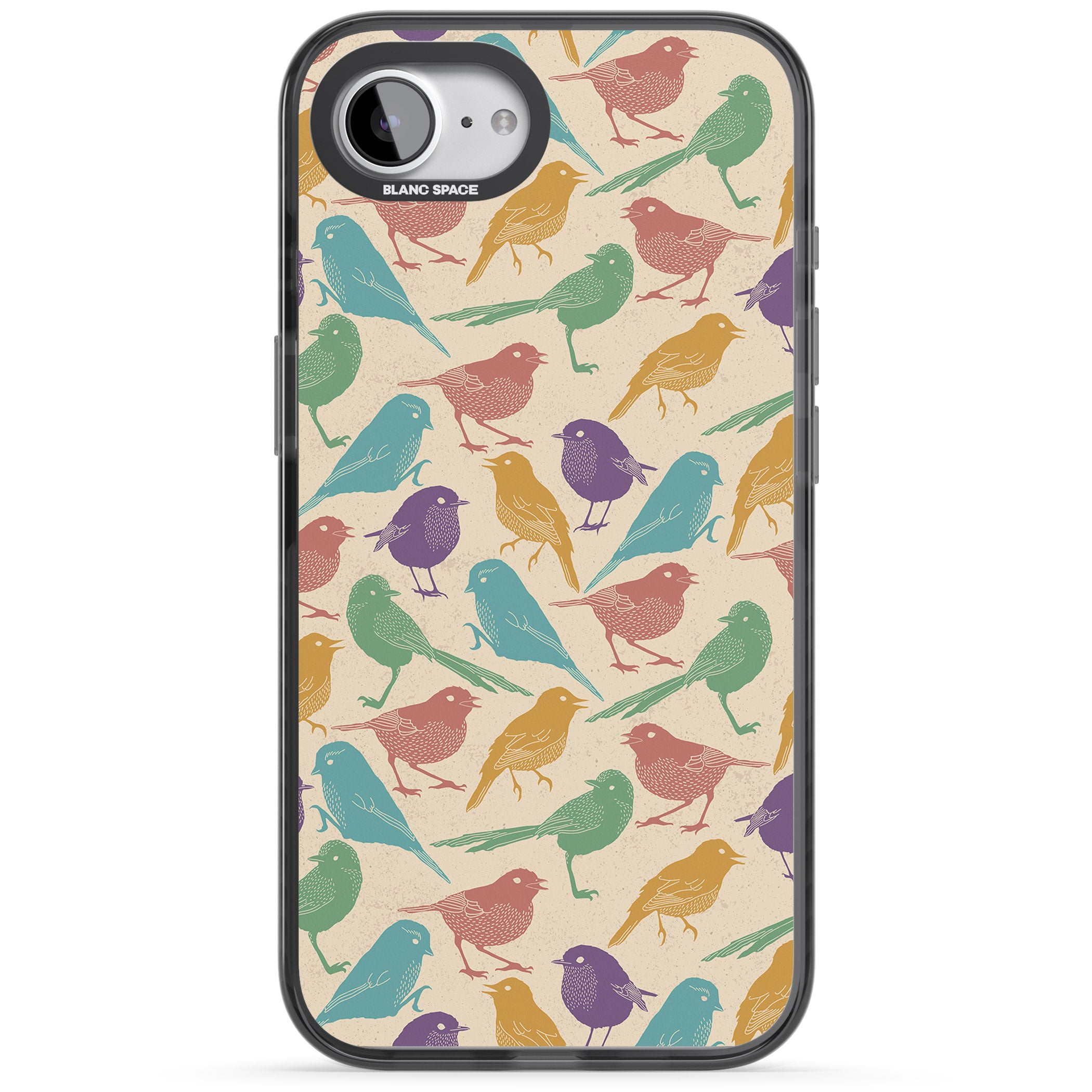 Colorful Feathered Friends