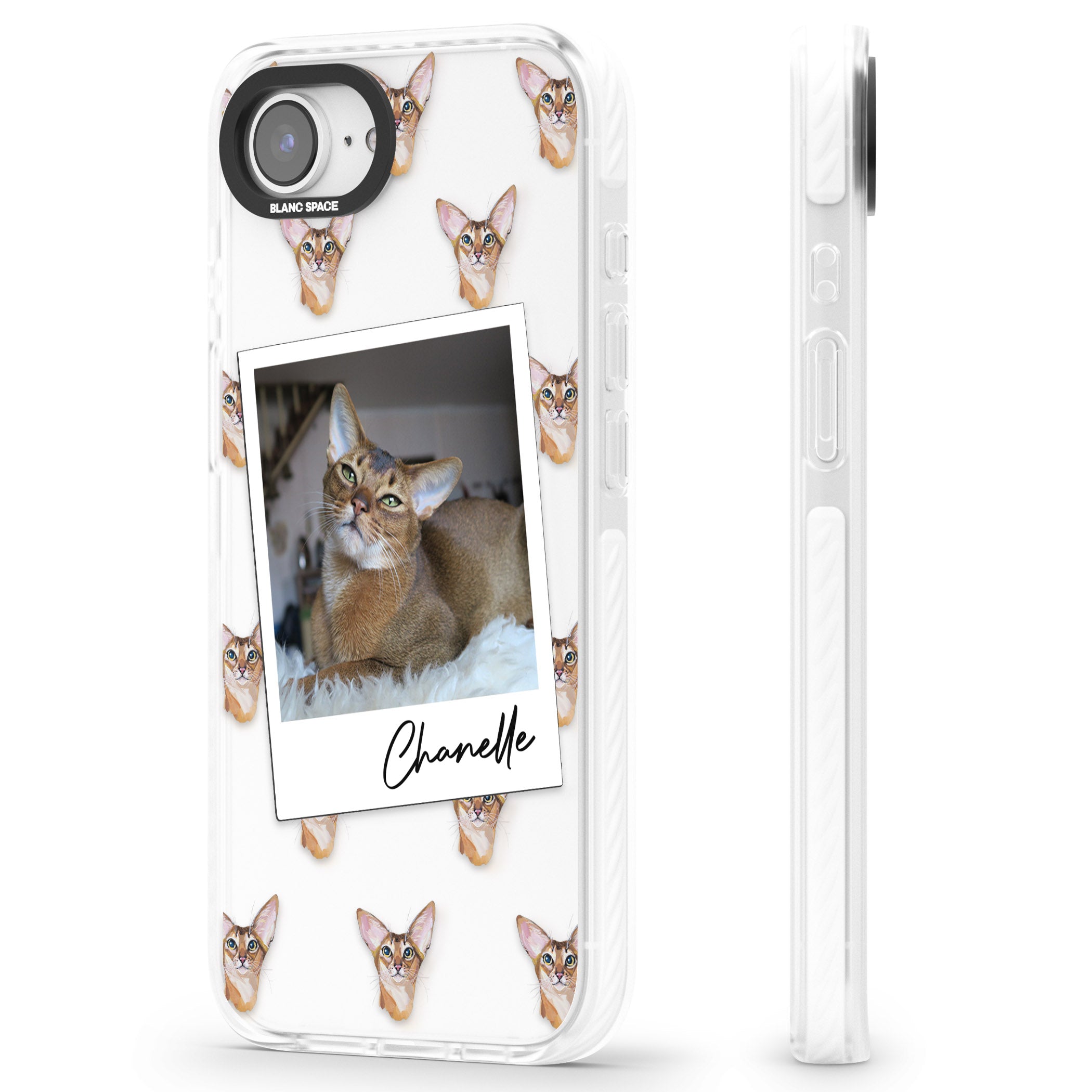 Personalised Abyssinian Cat Photo