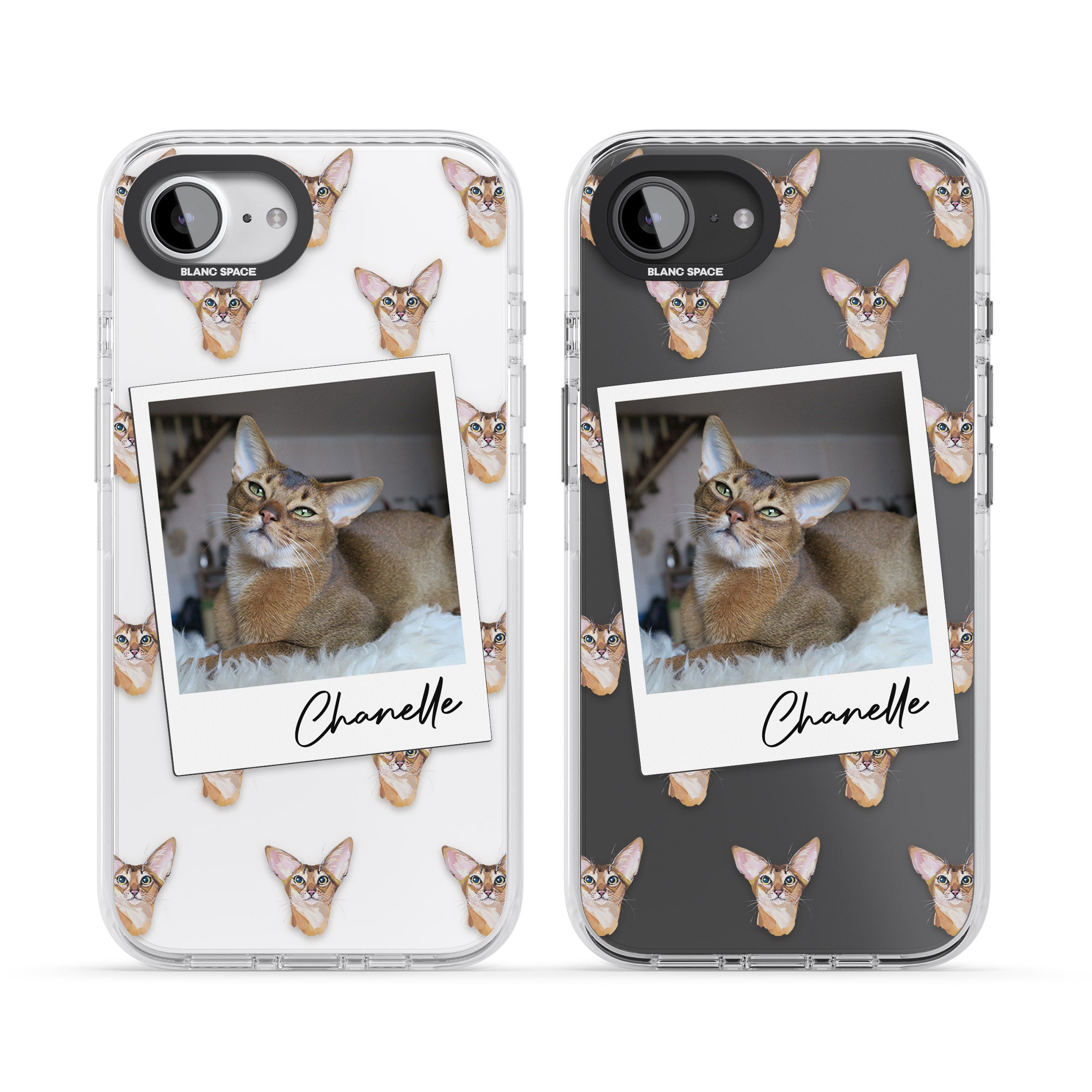 Personalised Abyssinian Cat Photo