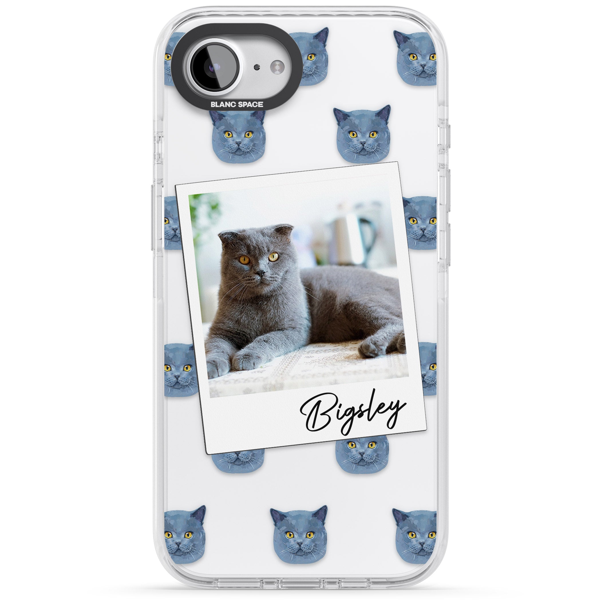 Personalised English Blue Cat Photo