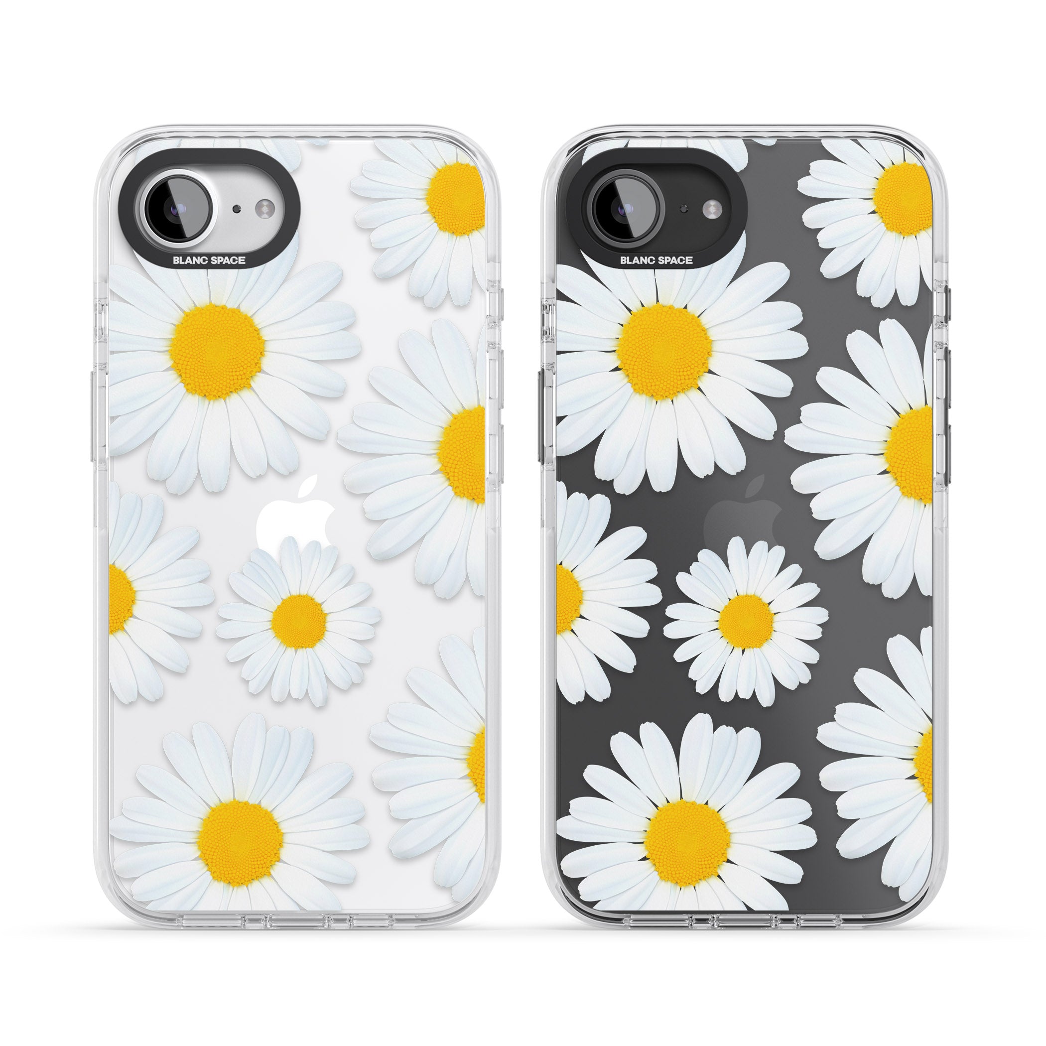 Summer Daisy