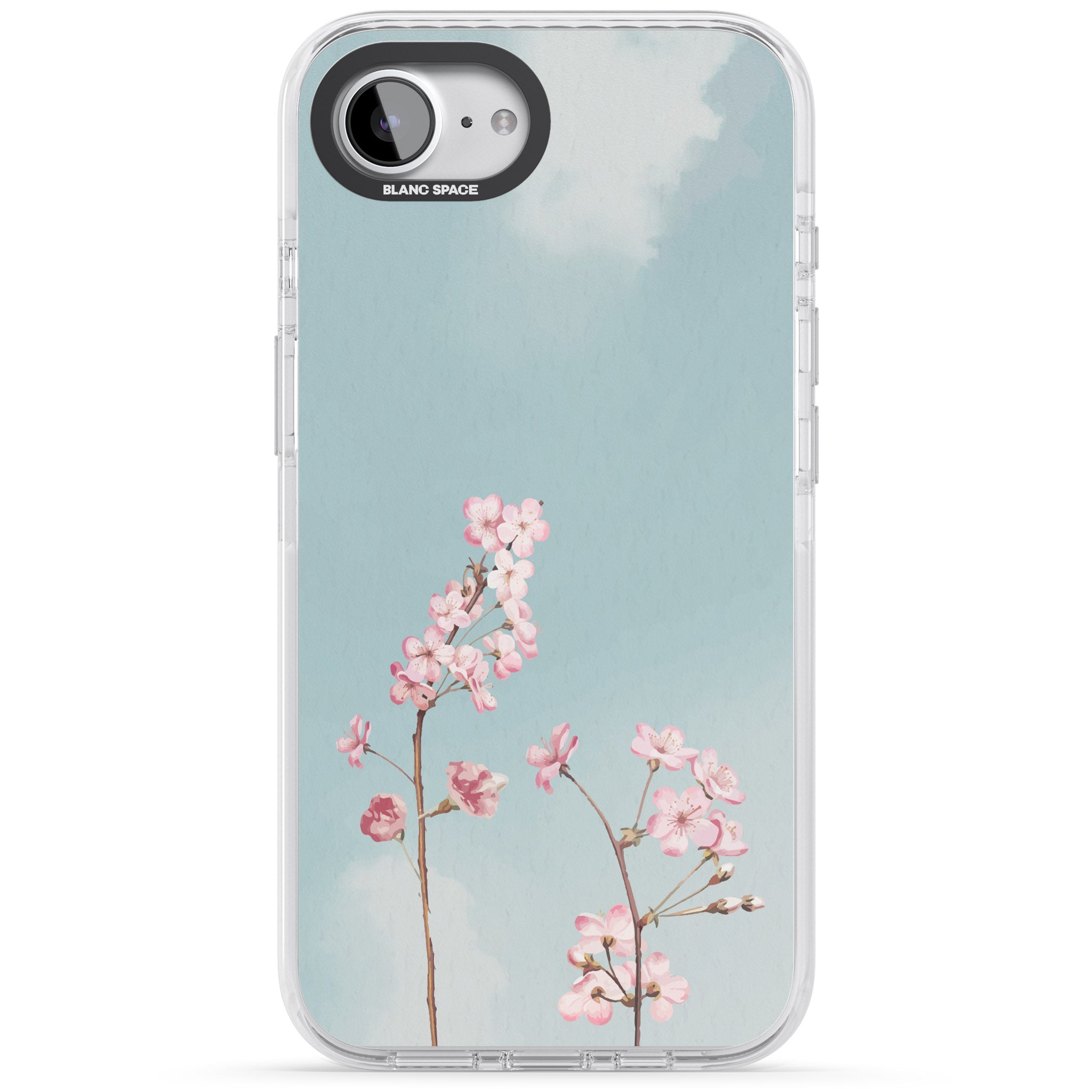 Blossom Flower Sky